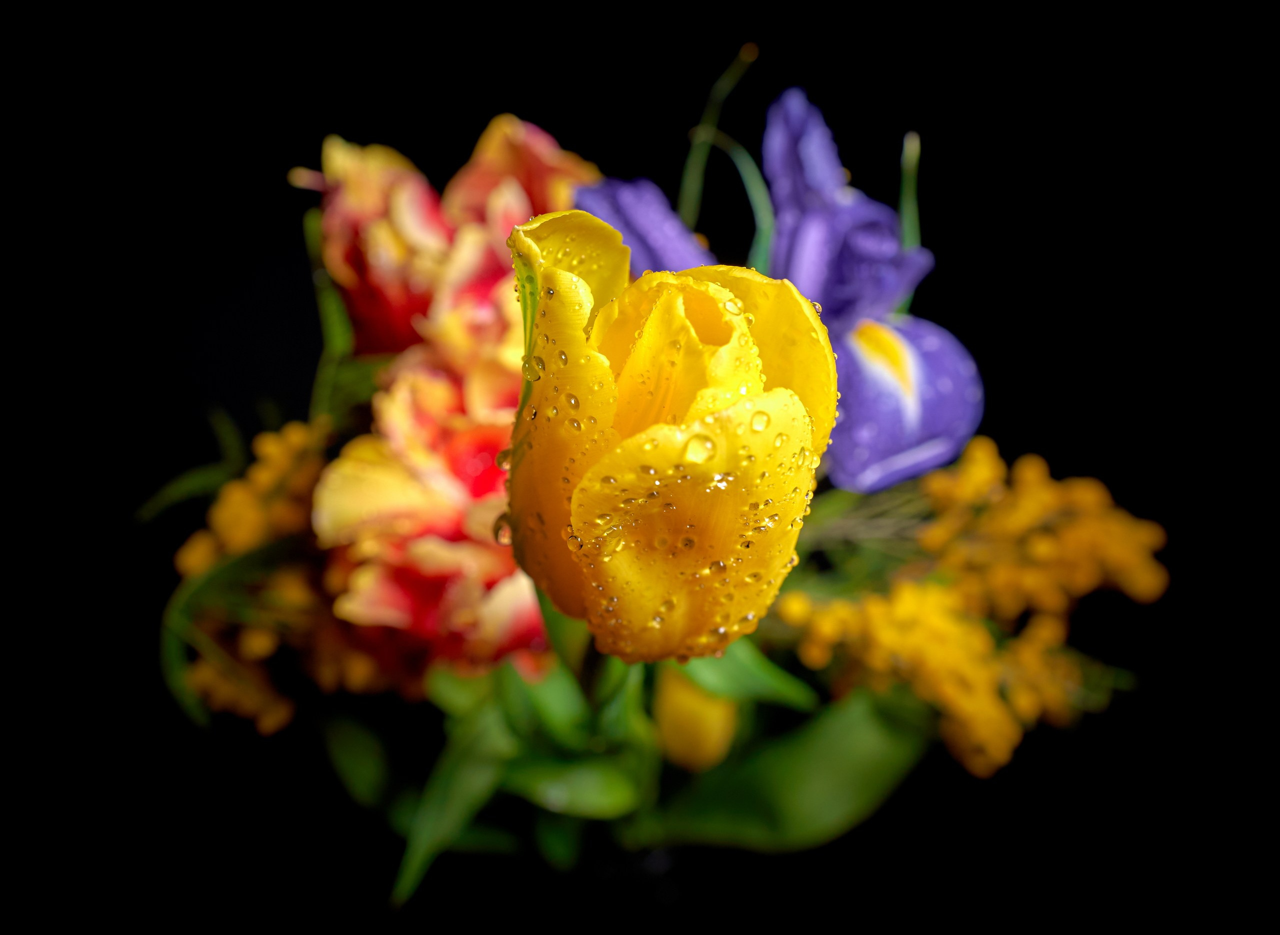 Лютики-цветочки — галерея NATRIEL