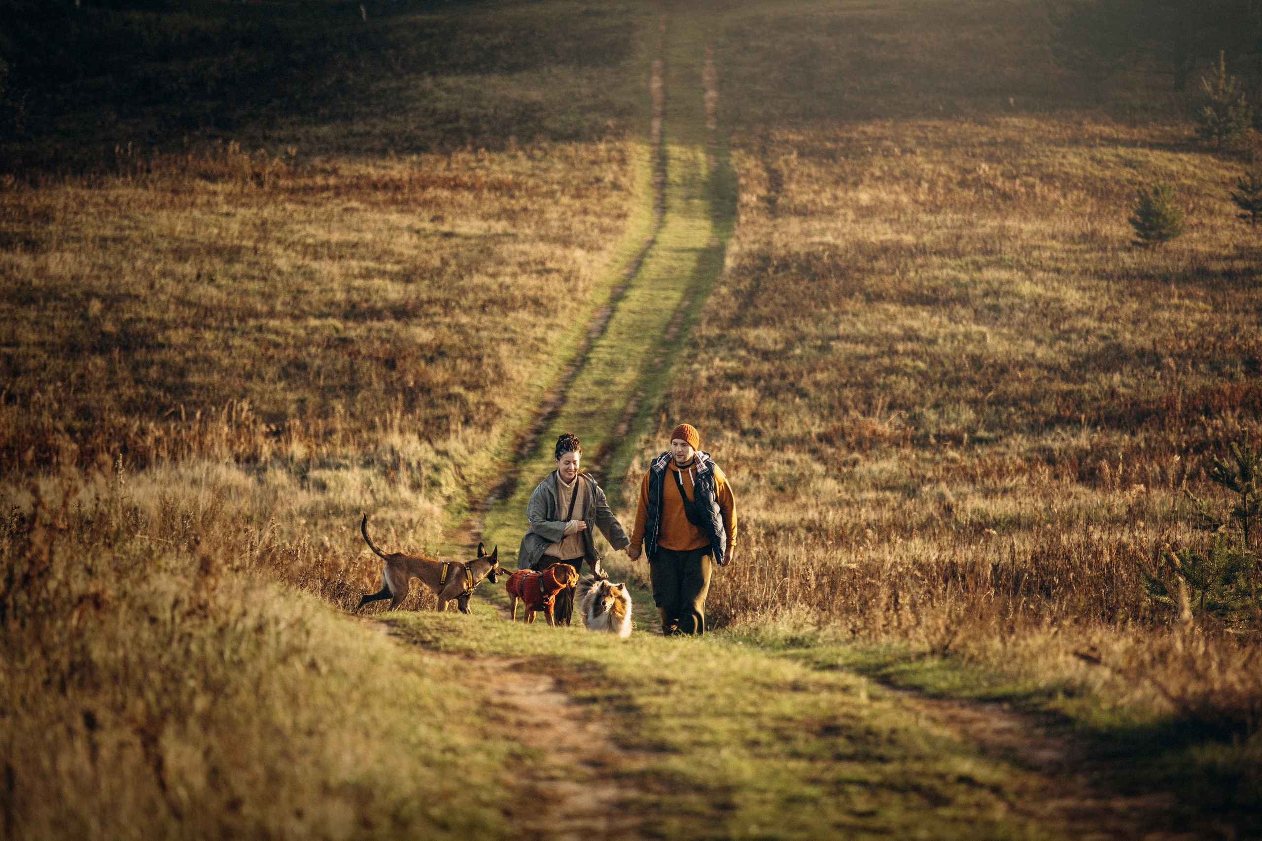 Трисс, Эста, Яся и их семья. Фотограф — Анималист | Санкт-Петербург