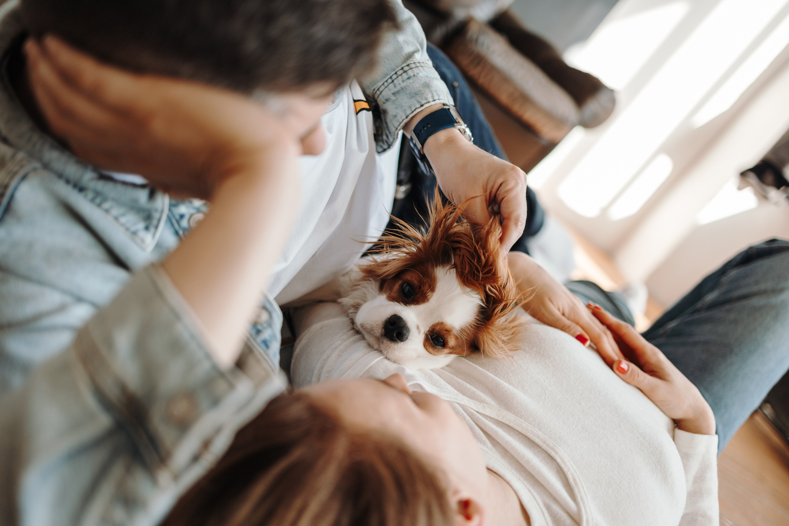 Плуто и его семья. Фотограф — Анималист | Санкт-Петербург