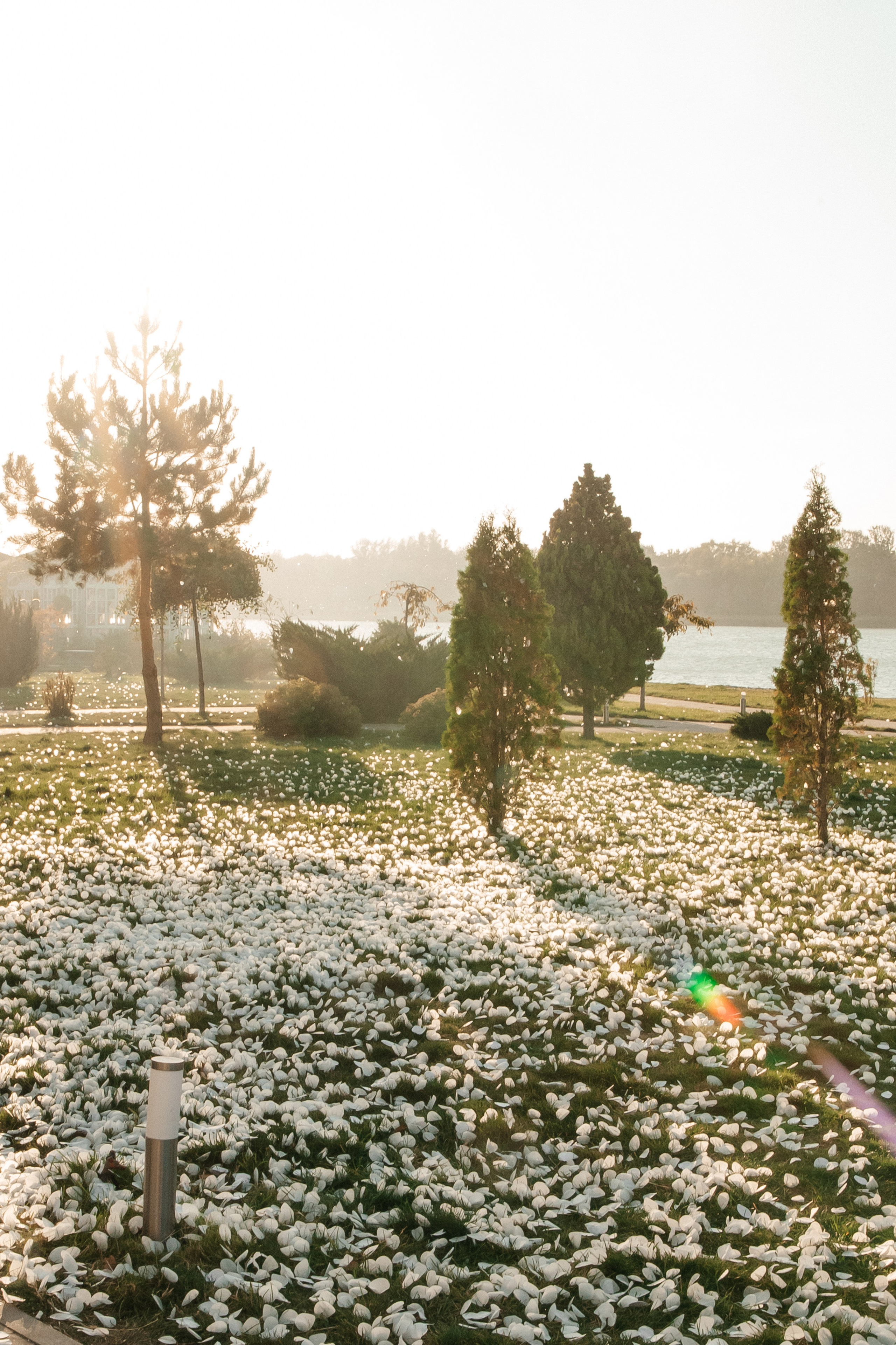 ANONS. Мария — Свадебный фотограф