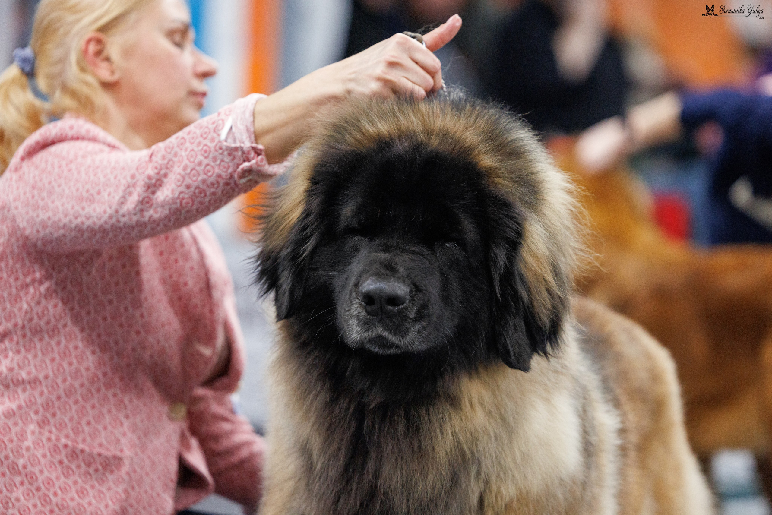 Сфера 28.01. и 4.02.2024. Фотограф-анималист Юлия Германика