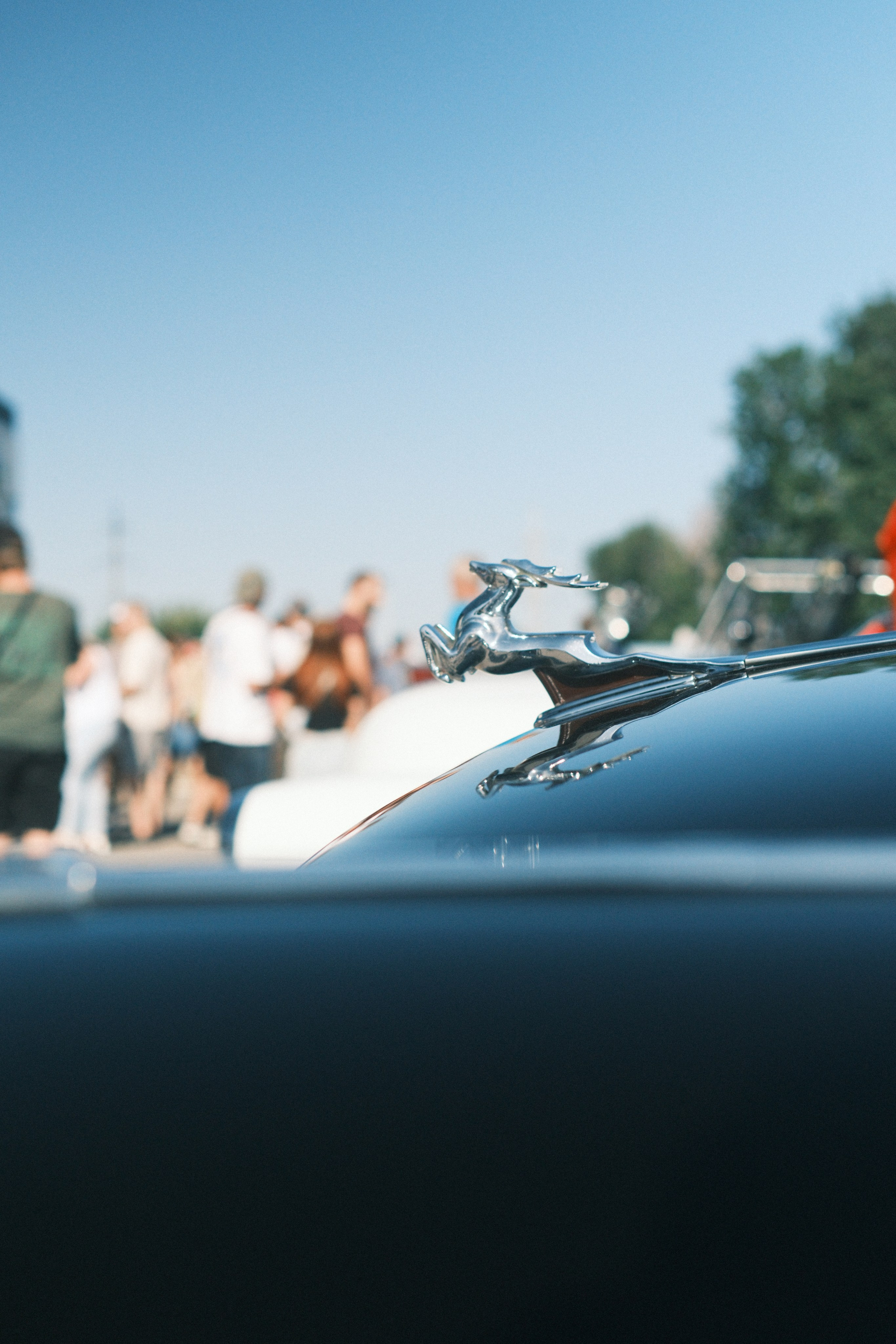 Стерлядь avtofest. Фотограф/Видеограф из Саратова