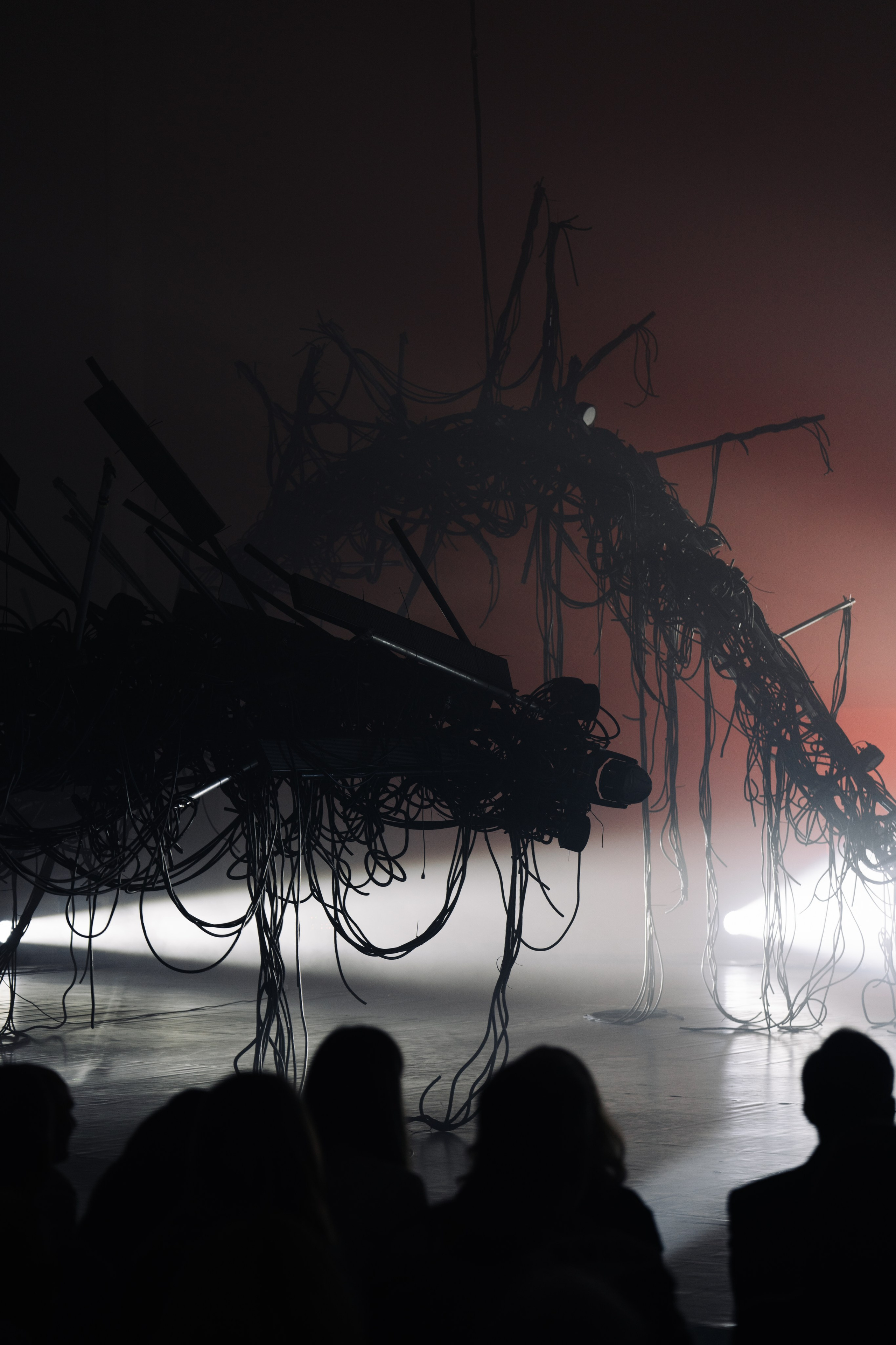 PERFORMA, The Hour of the Horse. @tomrus: Рустам Шагиморданов — фотограф