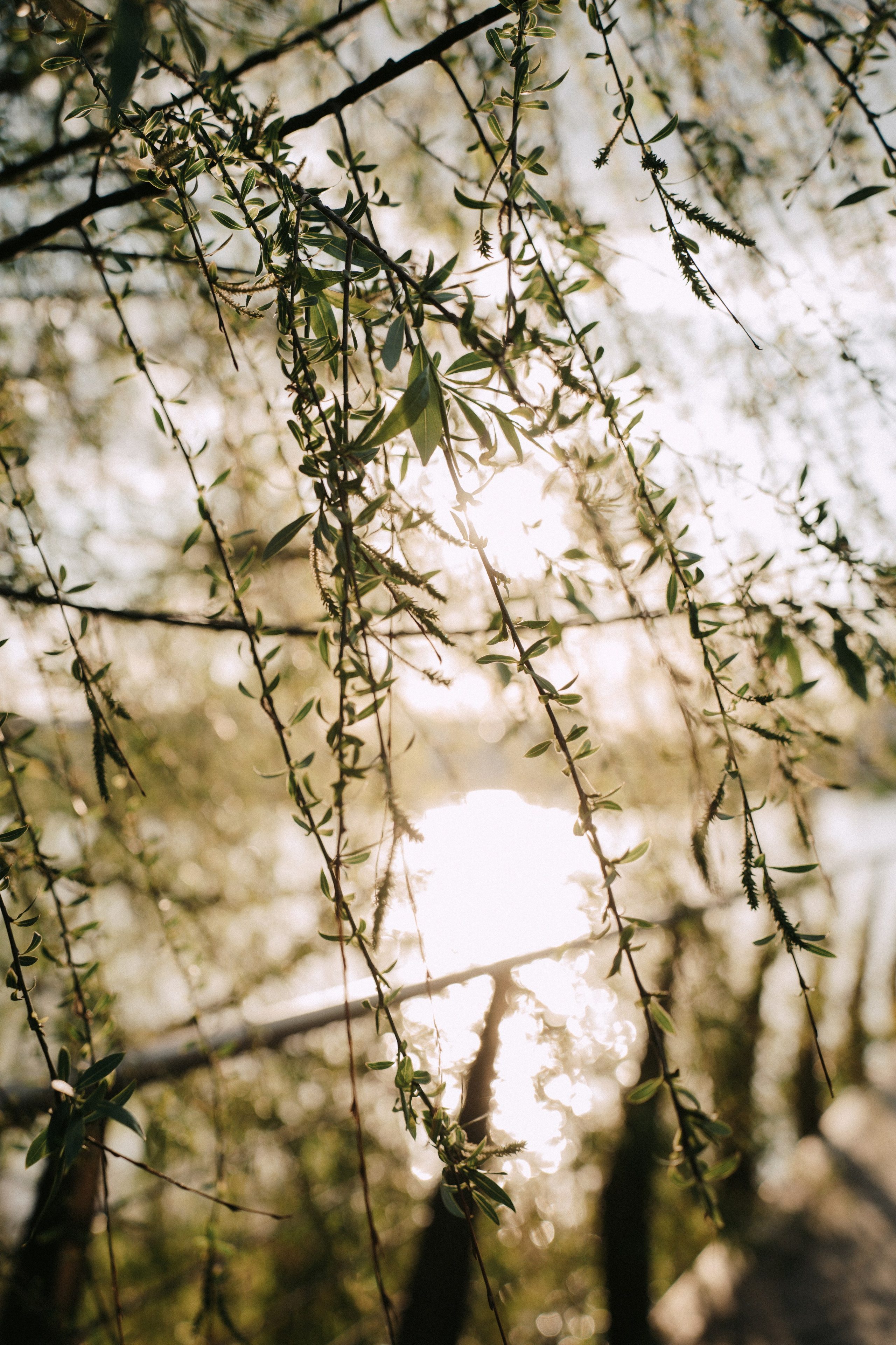 Алина. Главная