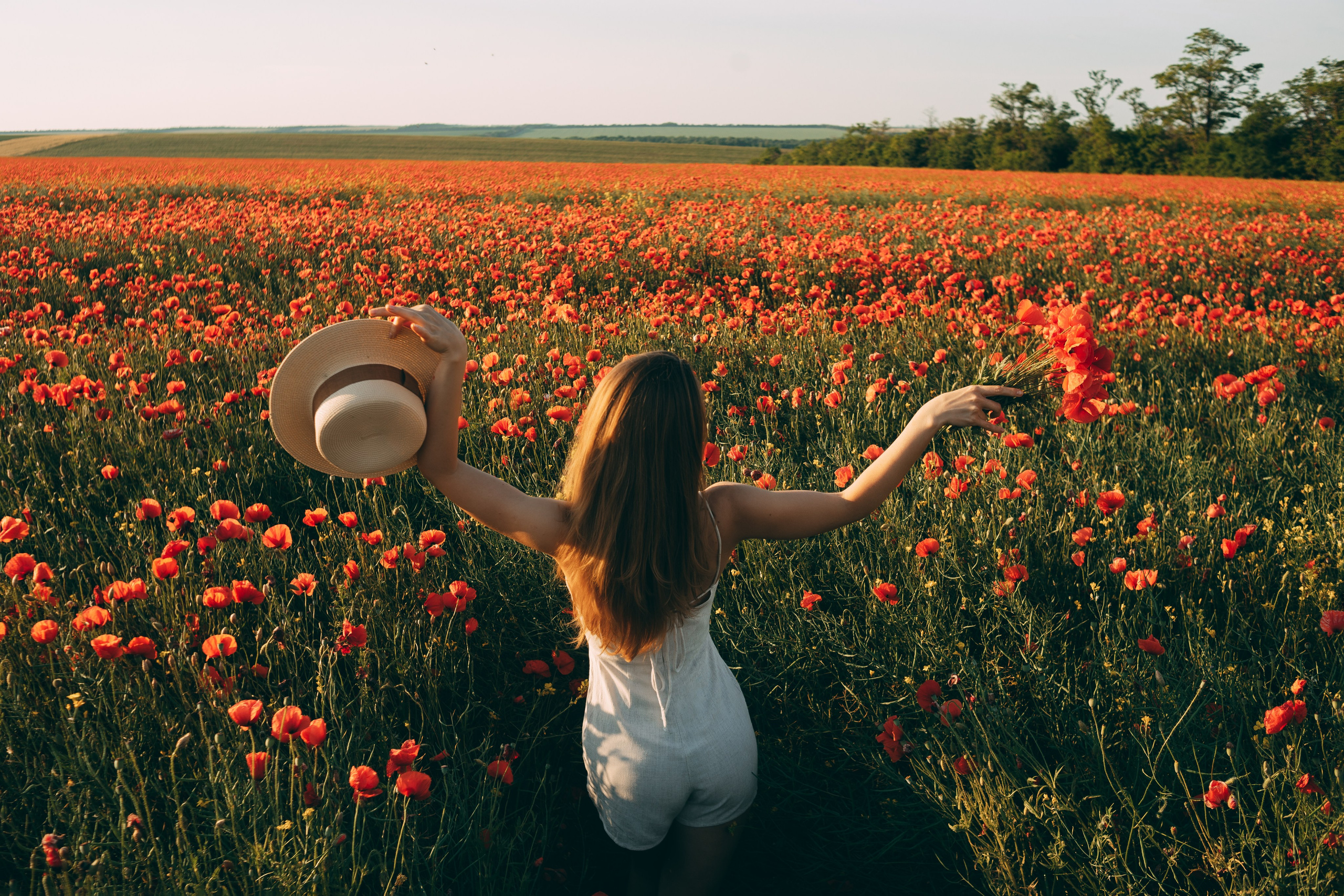 Фотосессия в маковом поле на закате. Свадебный и семейный фотограф в Краснодарском крае Мария Данилкина