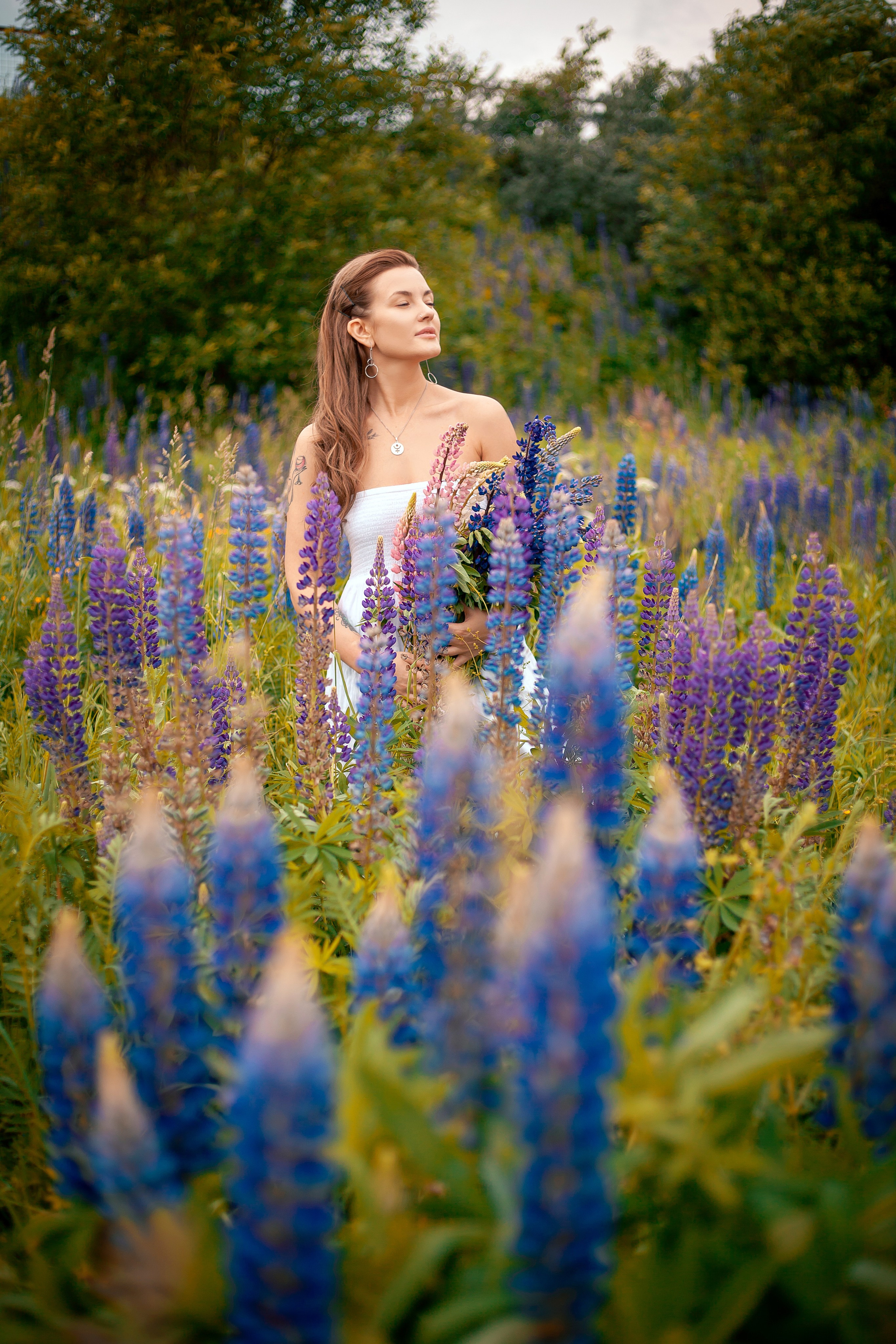 Люпины. Фотограф Мария Кольцова