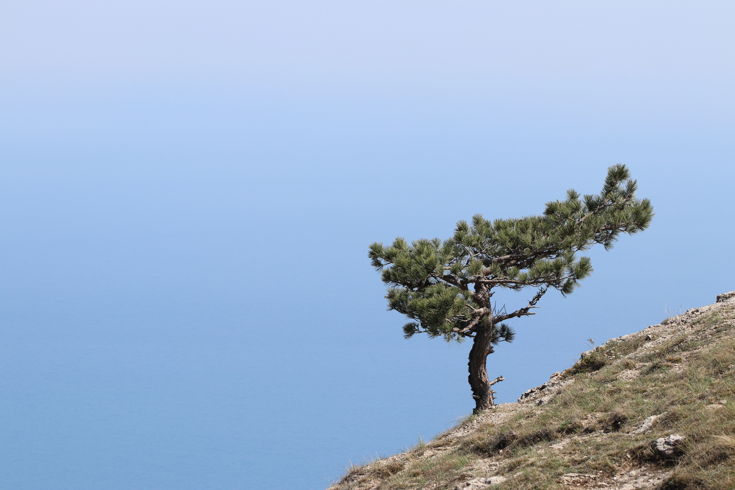 Крым. ЮБК (Бахчисарай, Кастрополь, Таракташская тропа). Май 2021. Путешественник-фотограф из Санкт-Петербурга Татьяна Свистулина