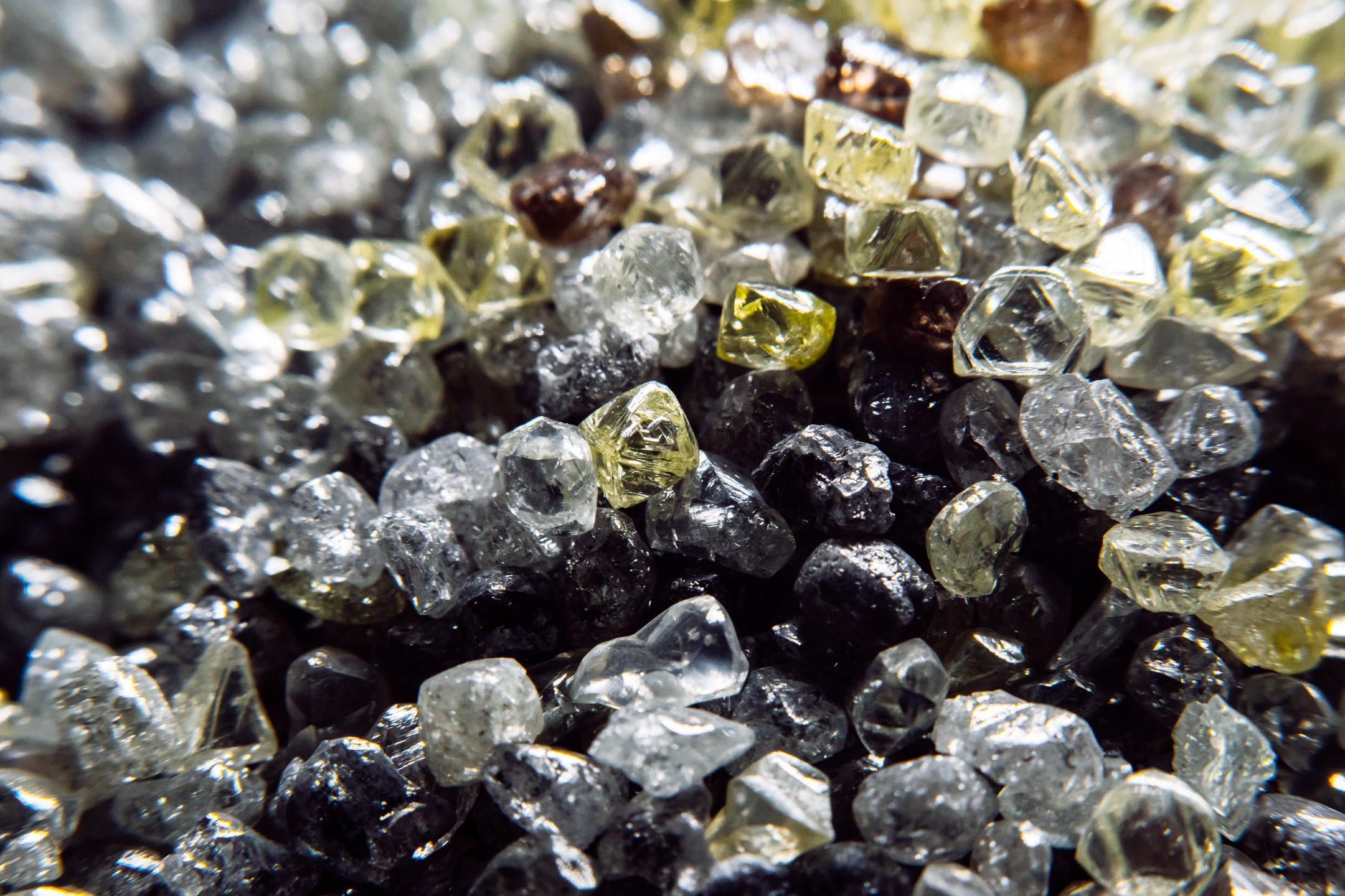 Форумы. All In Media — фотосъёмка и видеопродакшн