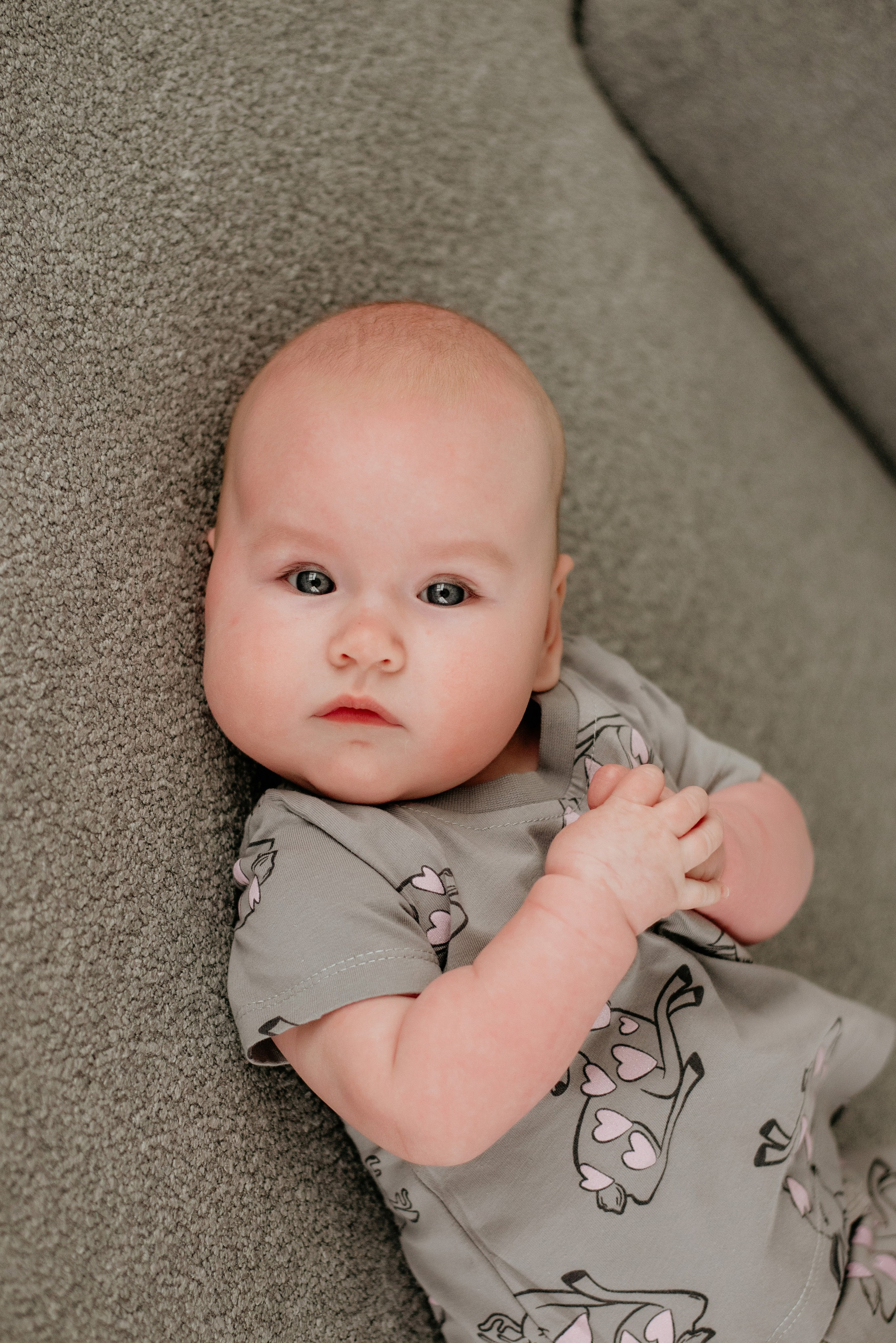 Family. Марина Колосова, детский фотограф и фотограф новорожденных в Красноярс