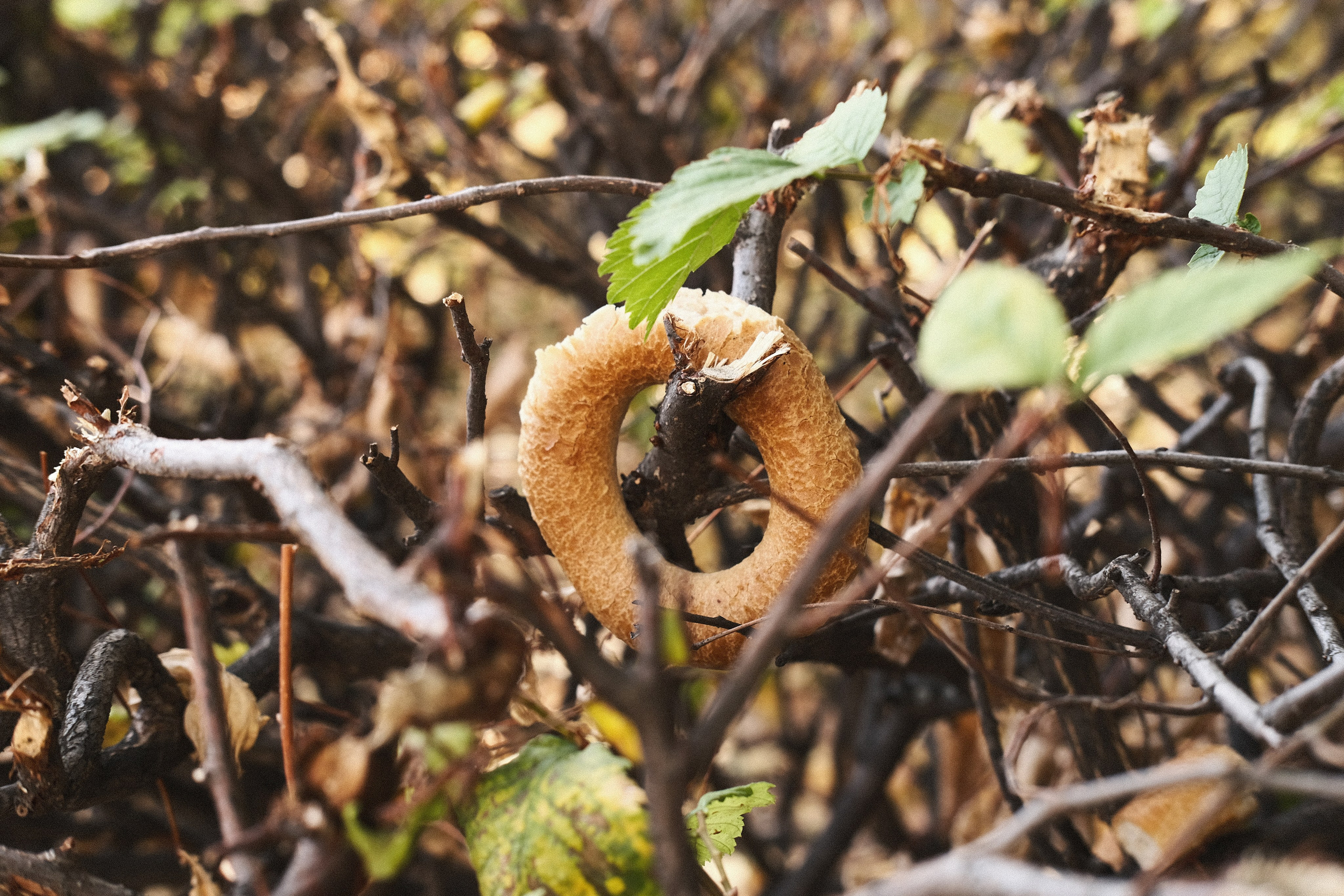 Уличная фотография из Казани. Фотограф-любитель из Кирова Андрей Погребняк
