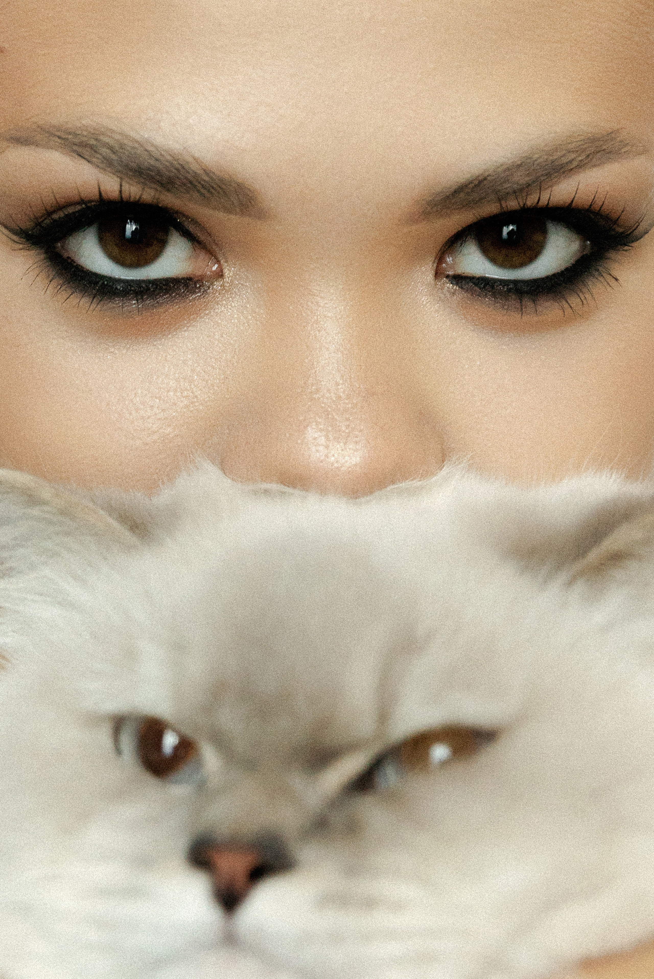 Юрий и Анастасия. Свадебный и семейный фотограф Харольцева Наталья