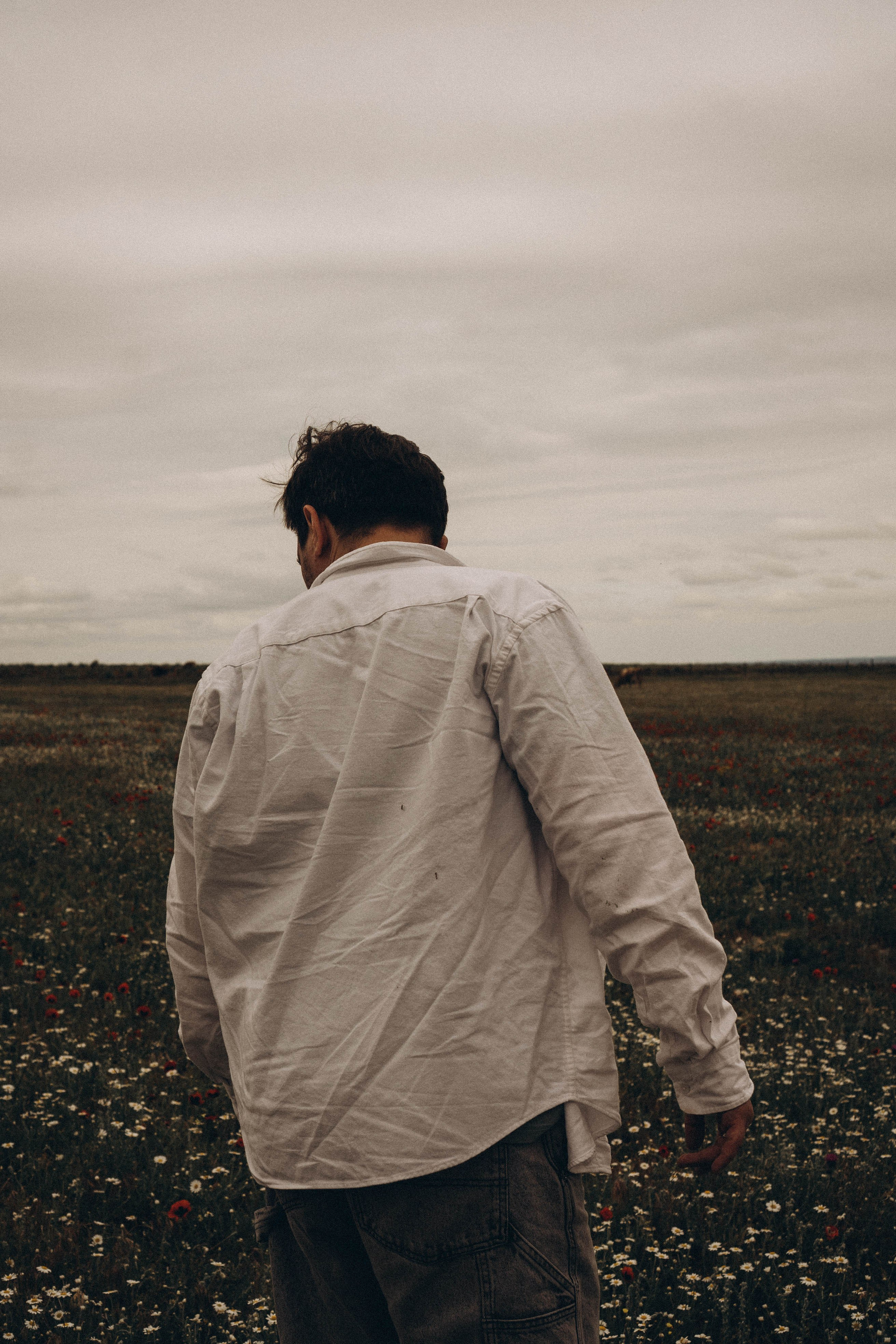 Маки. Профессиональный фотограф, Санкт-Петербург — Виктория Богомолова