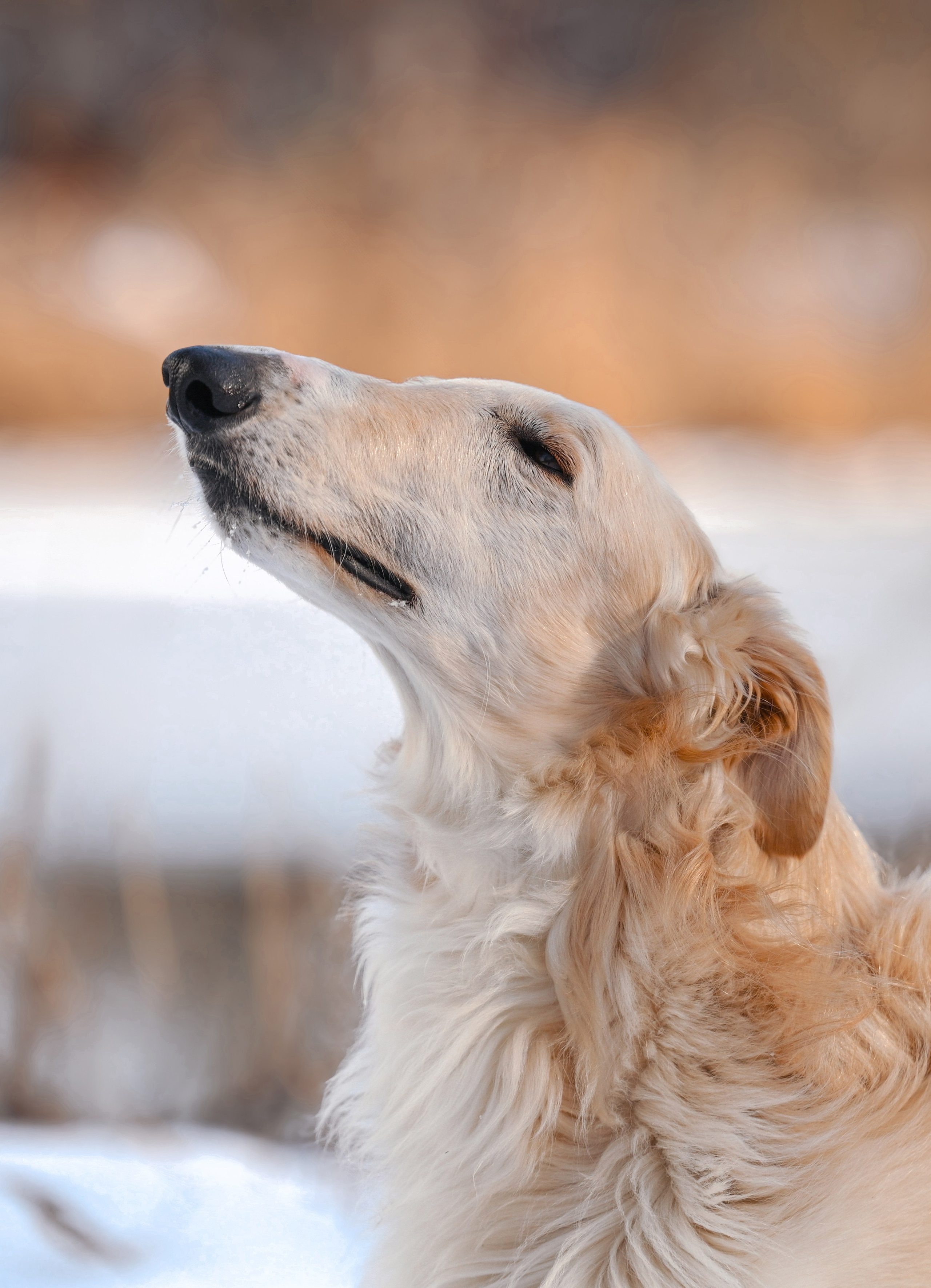 Фотограф в Ростове —на — Дону