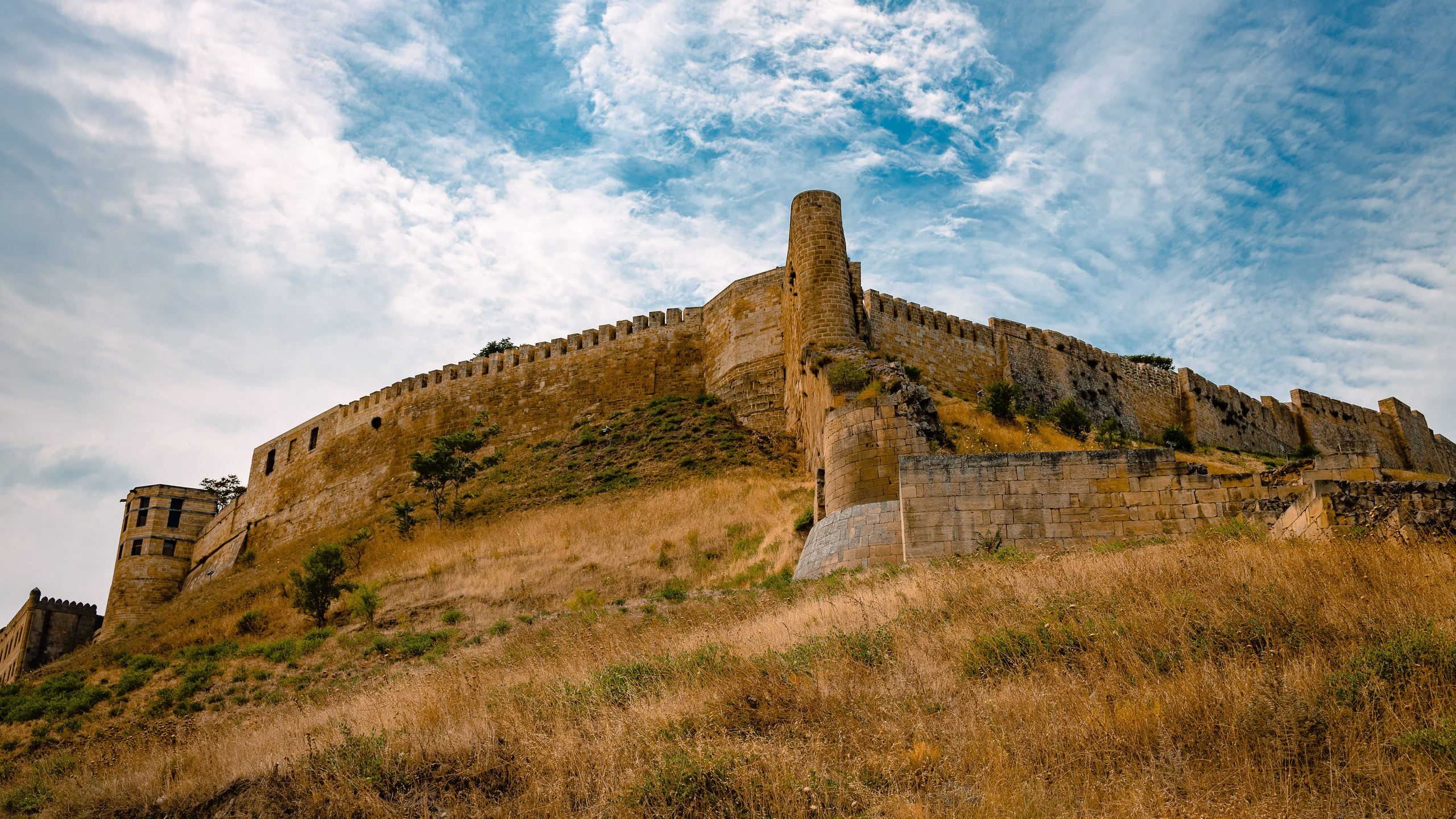 Россия. Фотограф. г. Южно-Сахалинск. Олег Толстов