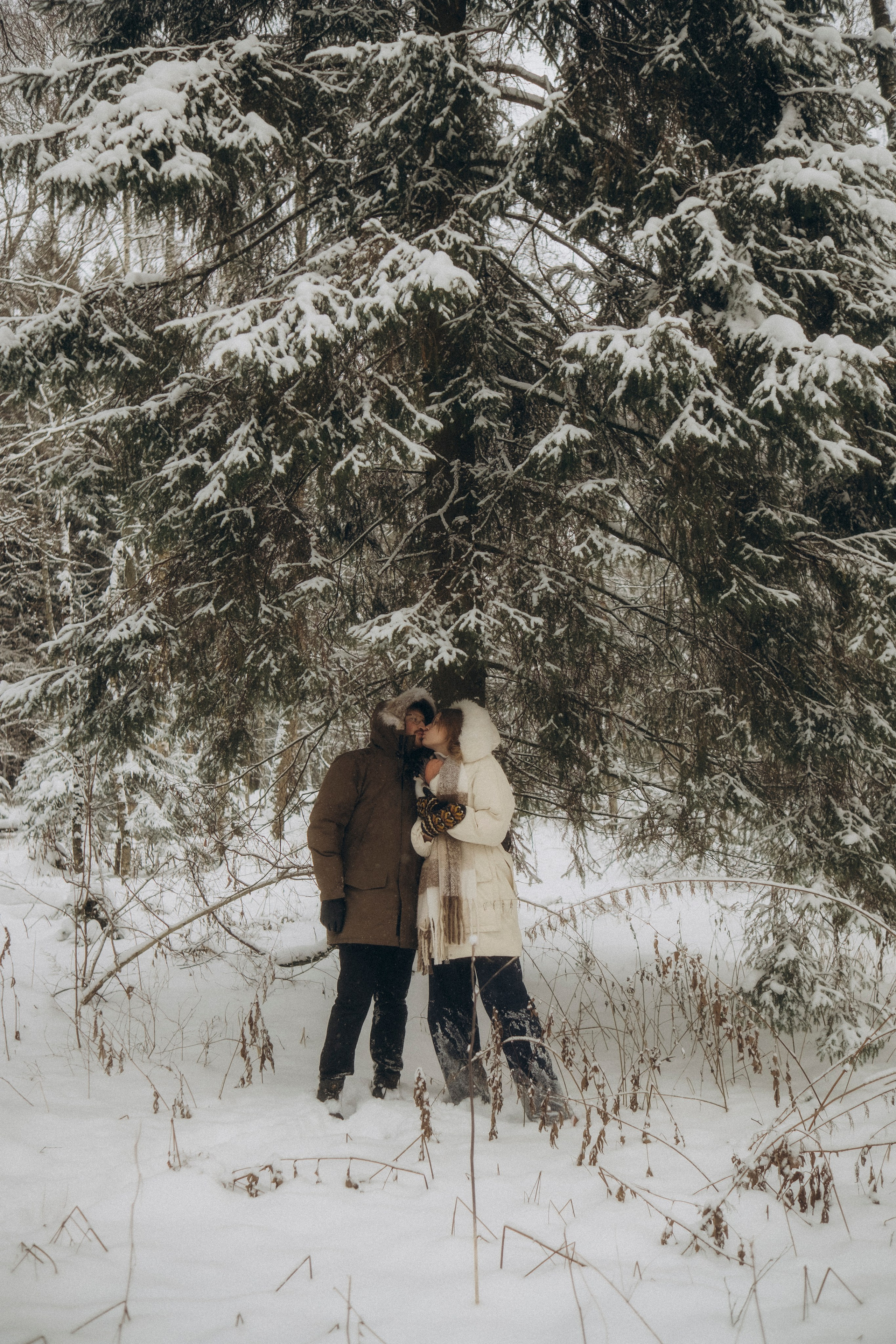 Зимняя прогулка. Видеограф и фотограф Анна Грачева г. Москва