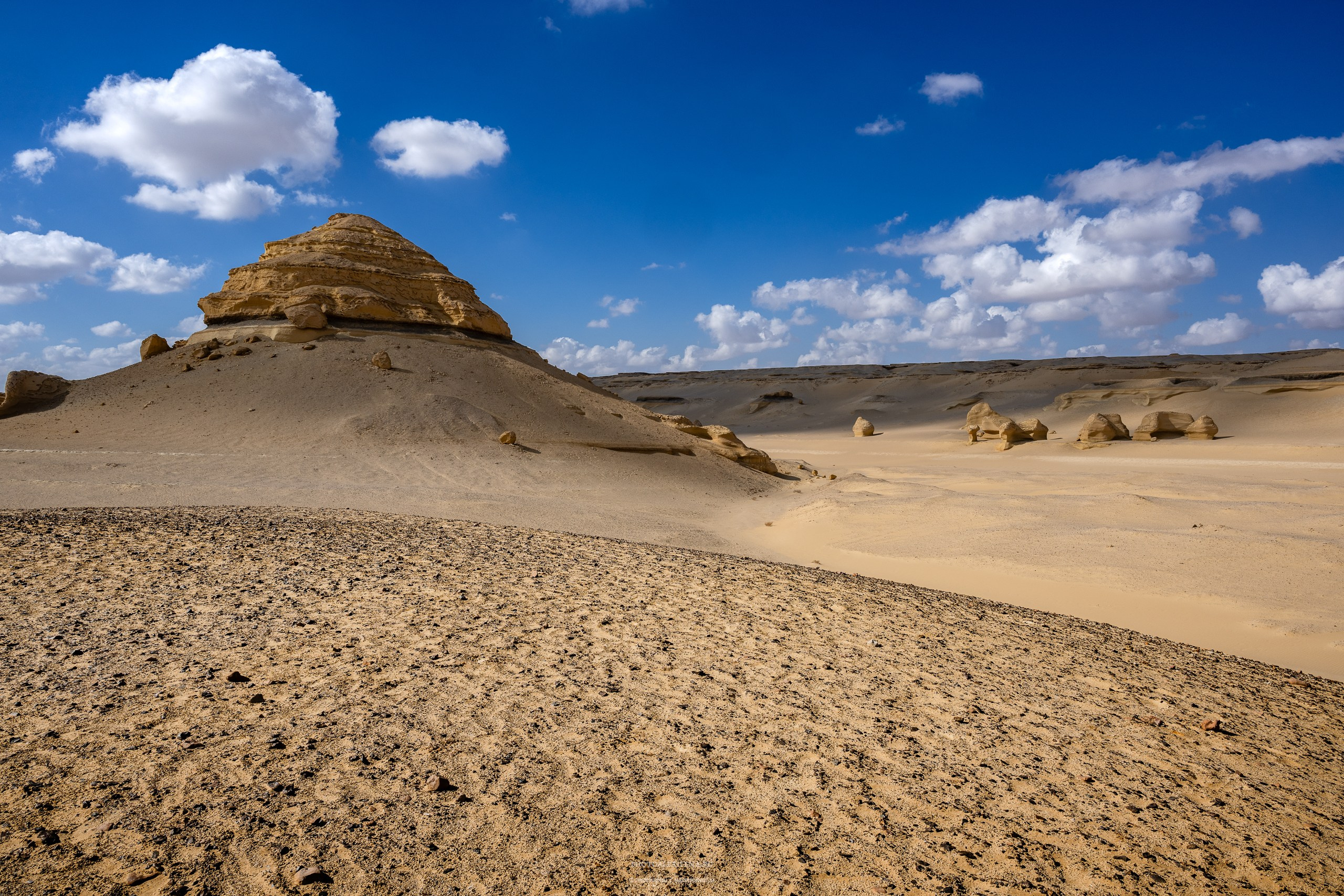 Снова в пустыню, за скелетами…. Авторские стильные фотокартины