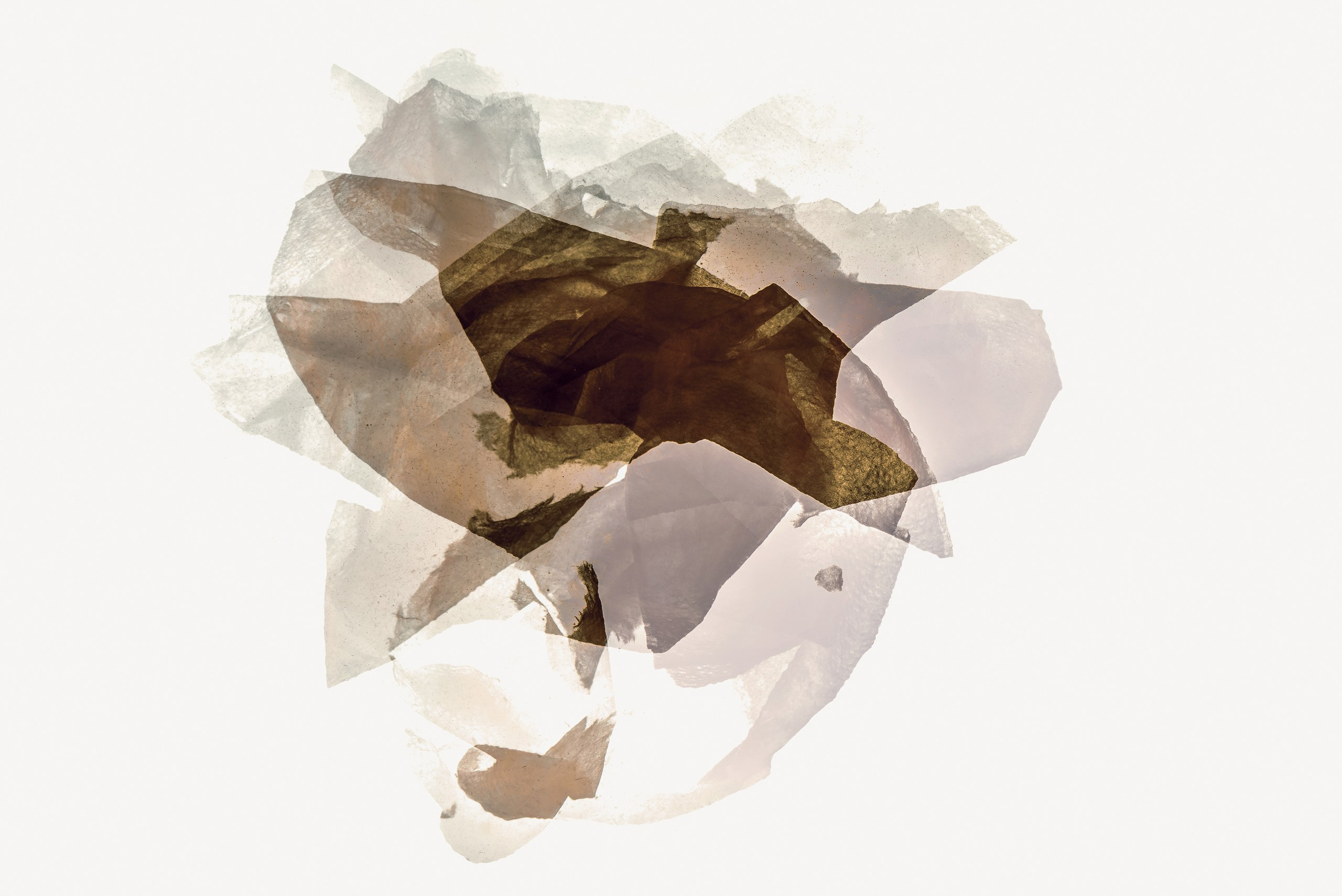 Бумага в воде. Скульптуры из воды Сергея Толмачева