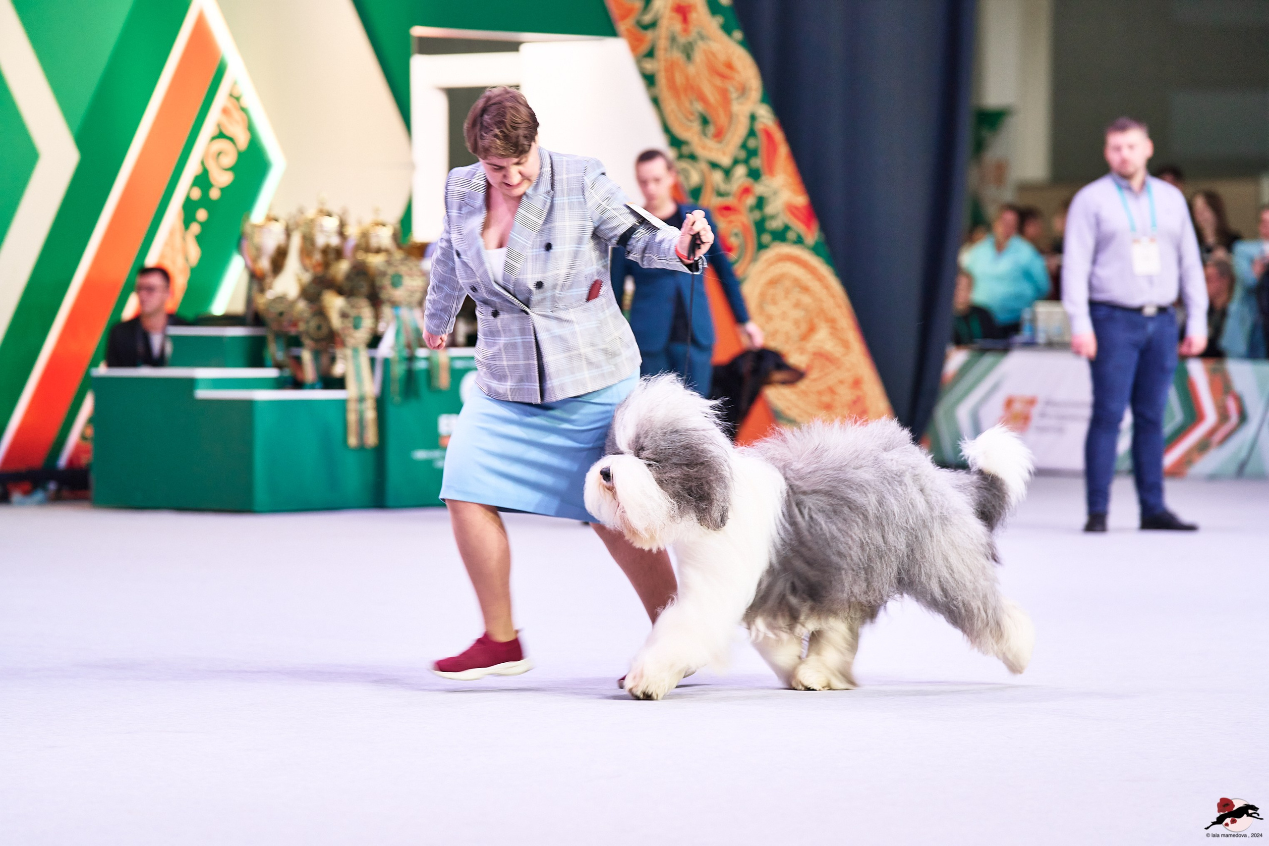 16.11.2024 «ЕВРАЗИЯ. КУБОК ПРЕЗИДЕНТА РКФ 2024»