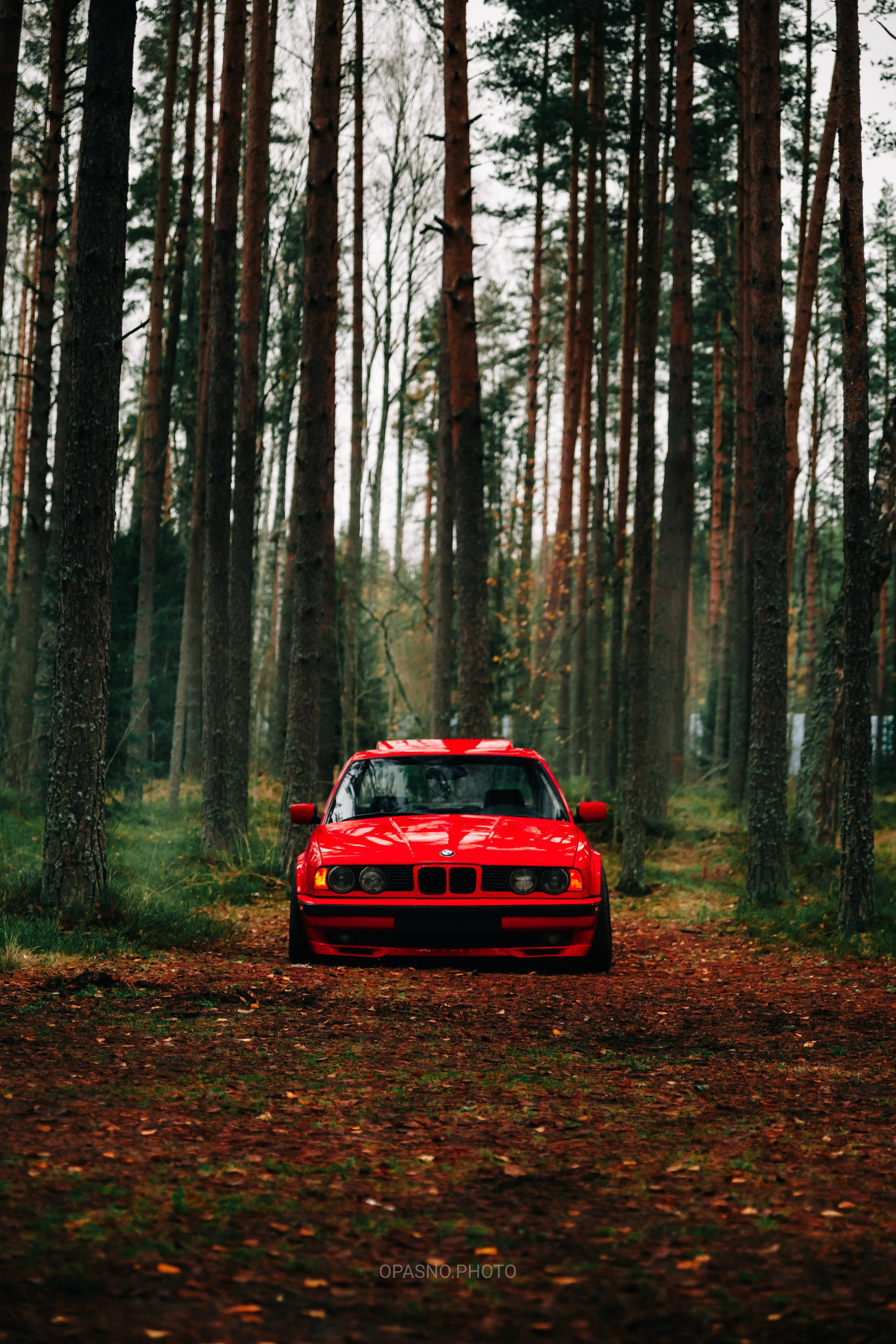 Контакты. Opasnophoto