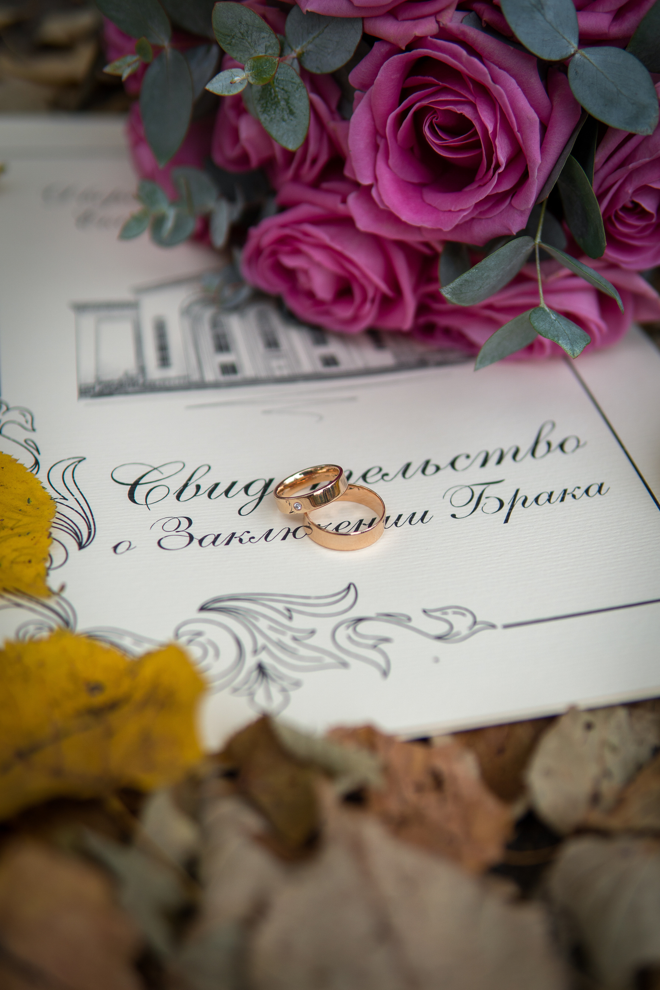 Даша и Артём. Фотограф в Краснодаре и Краснодарском крае Елена Быкова