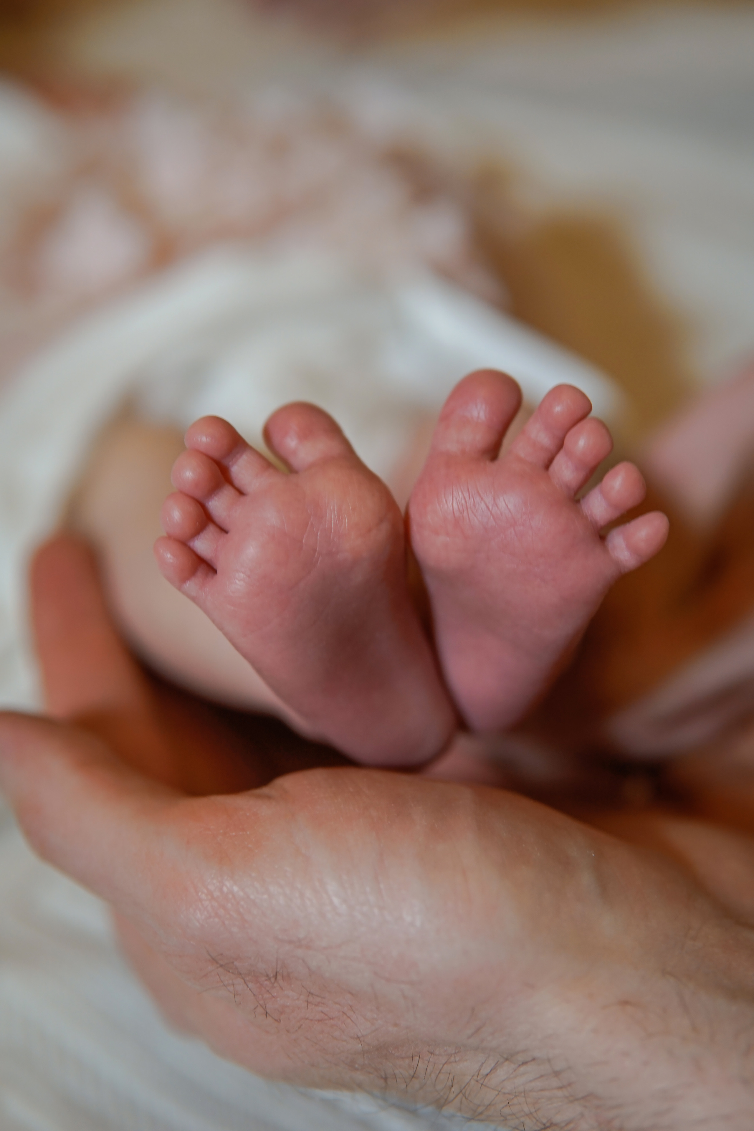 Выписка из роддома. Фотограф в Краснодаре и Краснодарском крае Елена Быкова