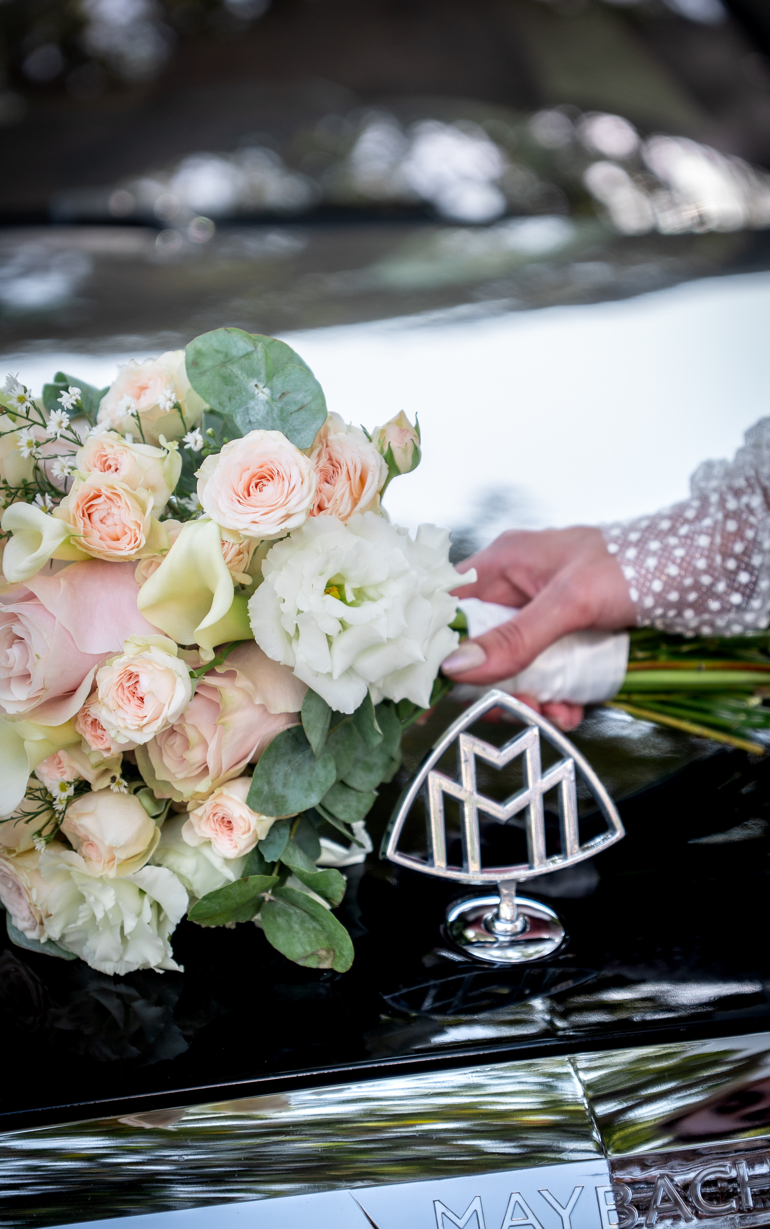 Вероника и Игорь. Фотограф в Краснодаре и Краснодарском крае Елена Быкова