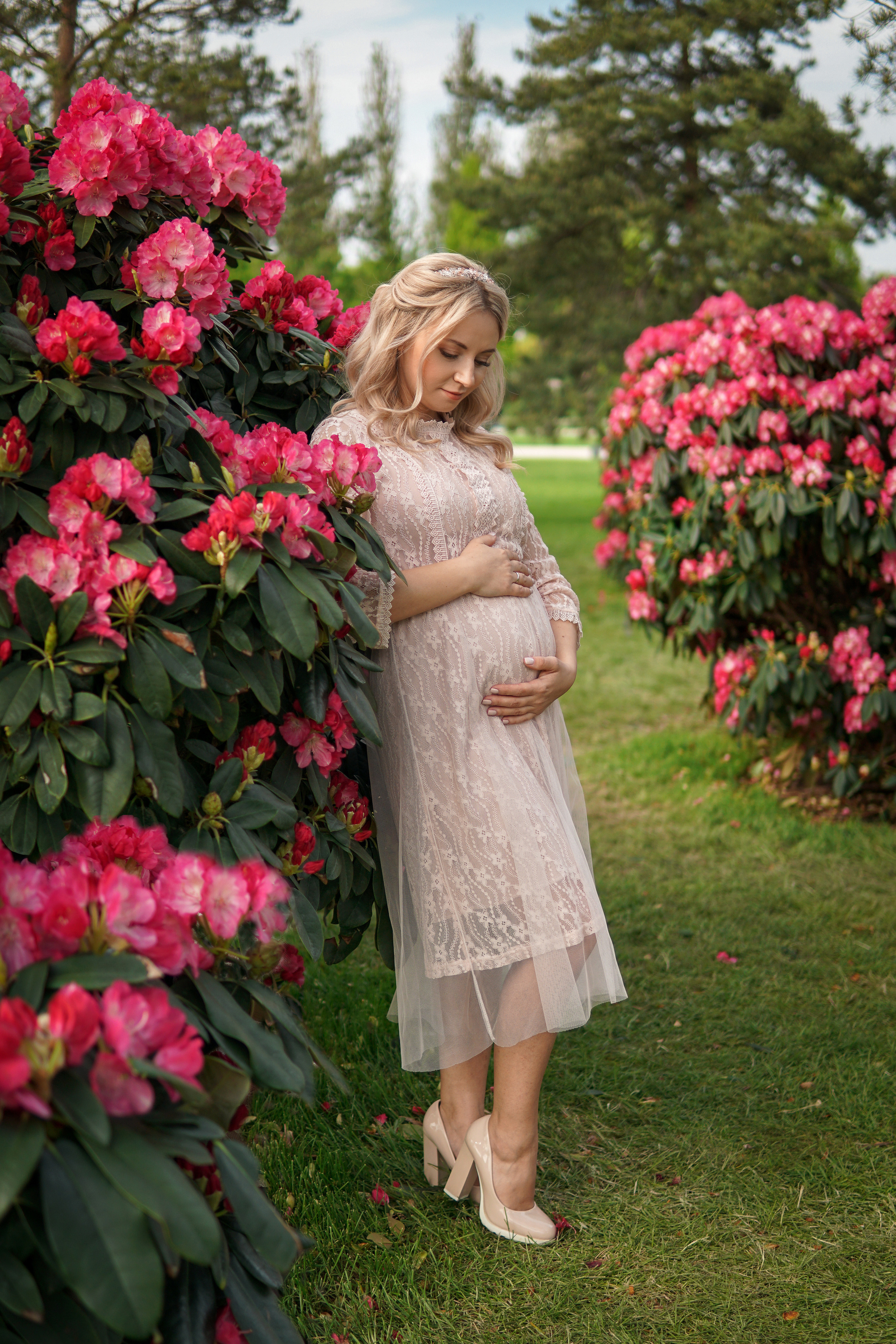 В цветениях парк Галицкого. Фотограф в Краснодаре и Краснодарском крае Елена Быкова