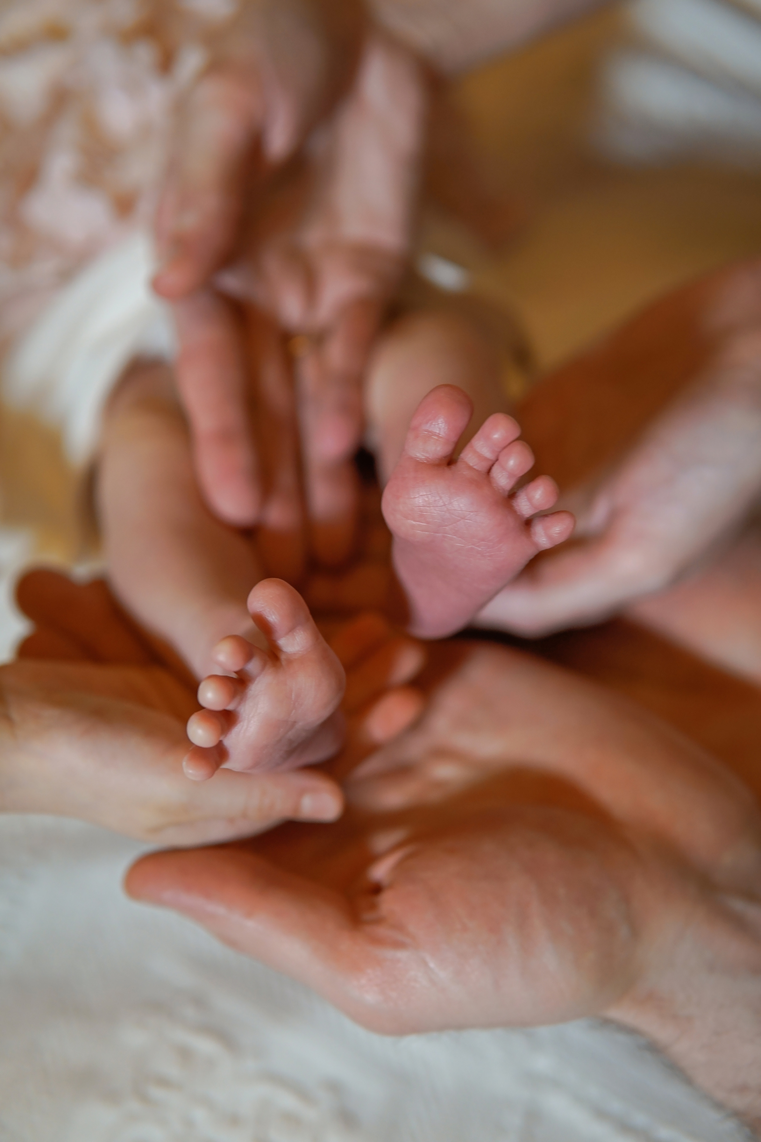 Выписка из роддома. Фотограф в Краснодаре и Краснодарском крае Елена Быкова