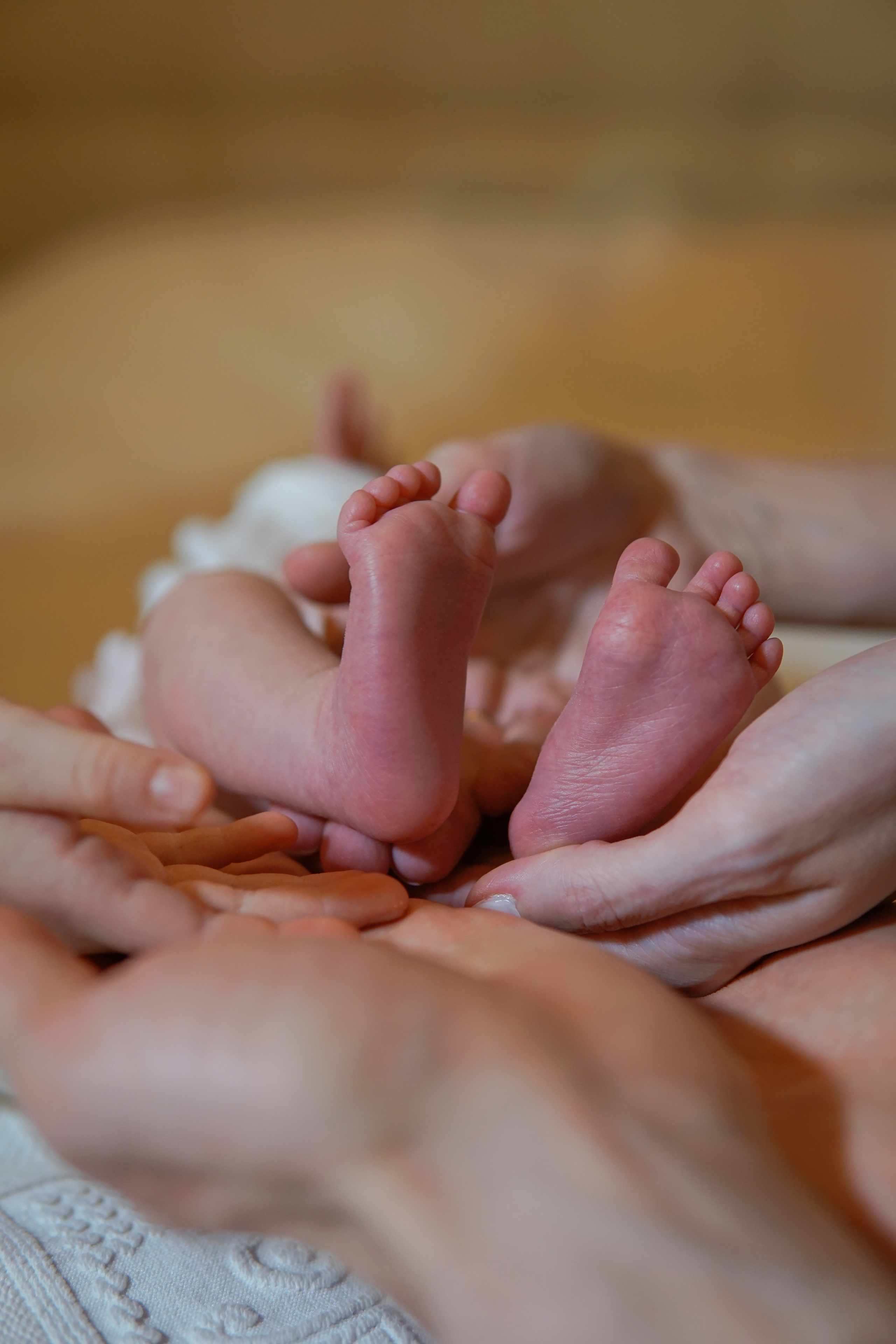 Выписка из роддома. Фотограф в Краснодаре и Краснодарском крае Елена Быкова