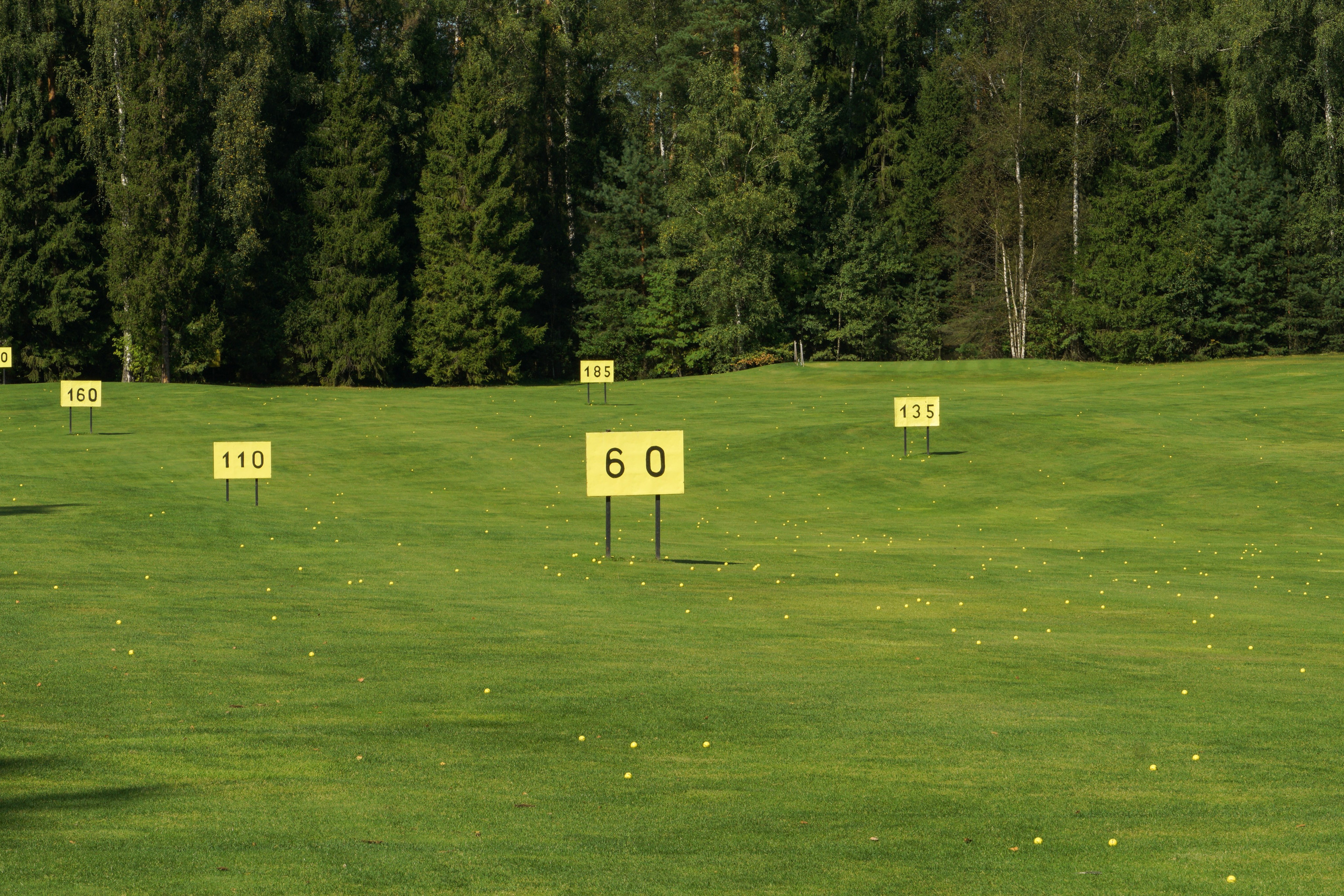 Moscow Country Club. Фотограф