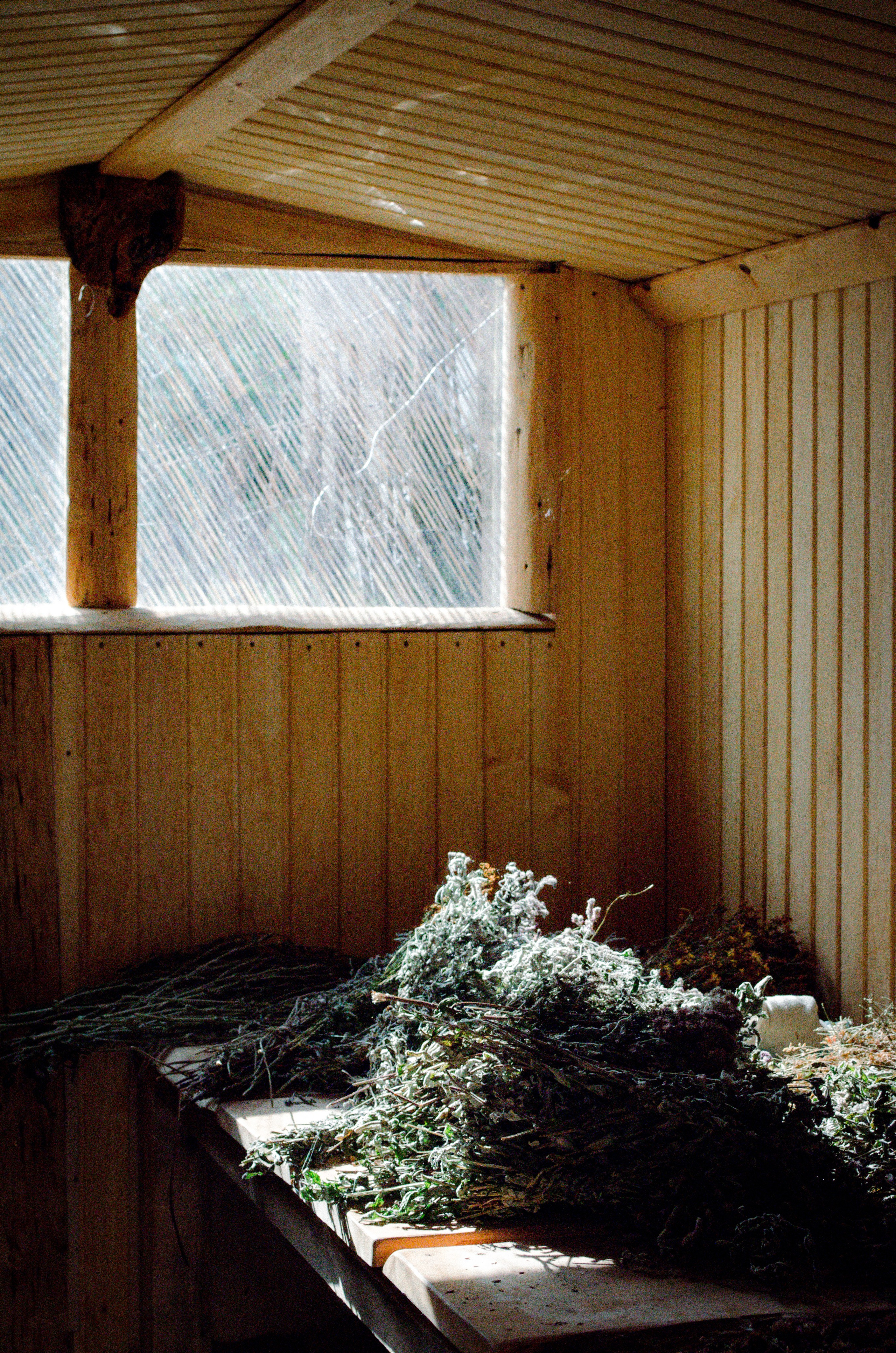 Банный комплекс Пихта. Фотограф