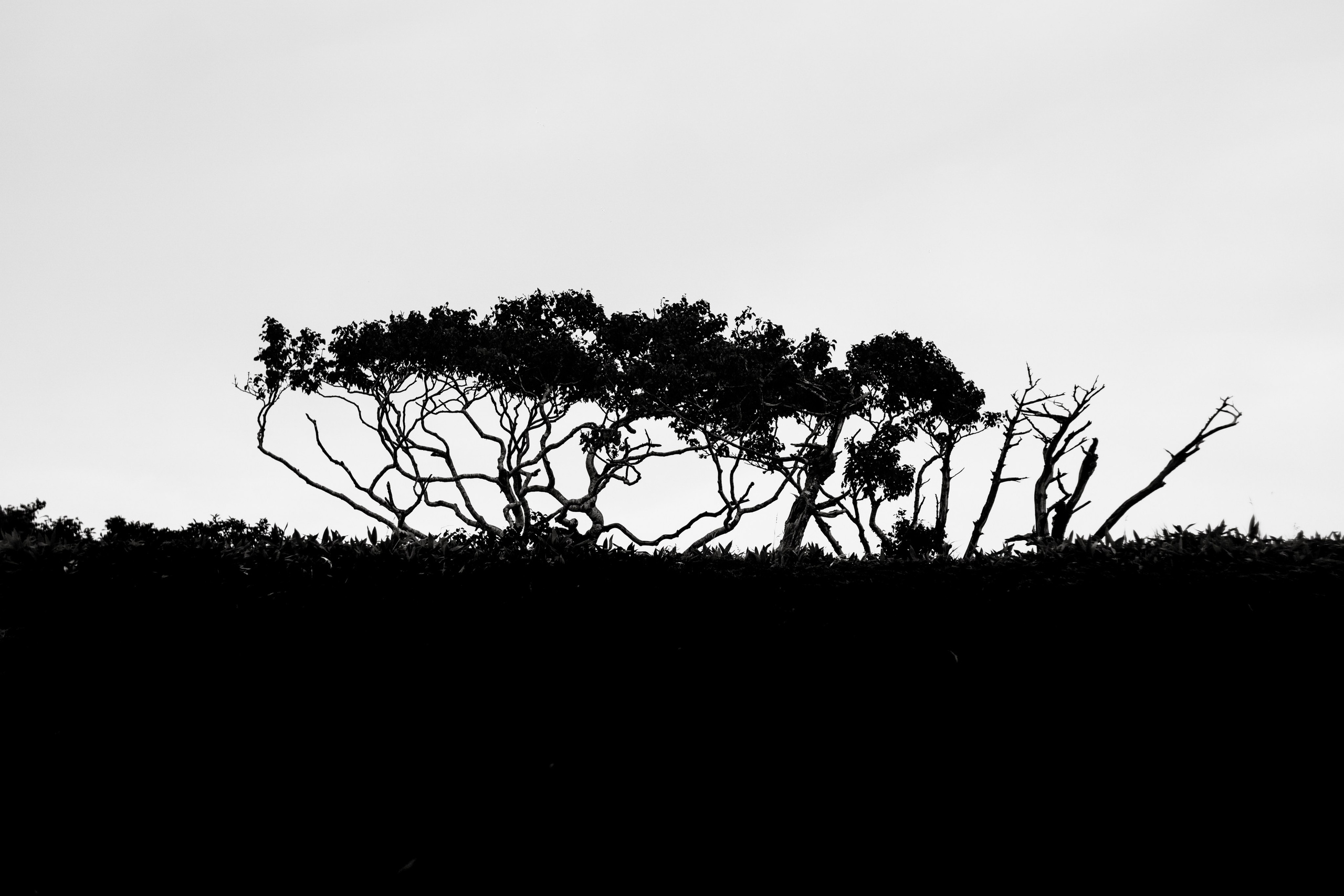 EXHIBITION. Репортажный и интерьерный фотограф, фотохудожник