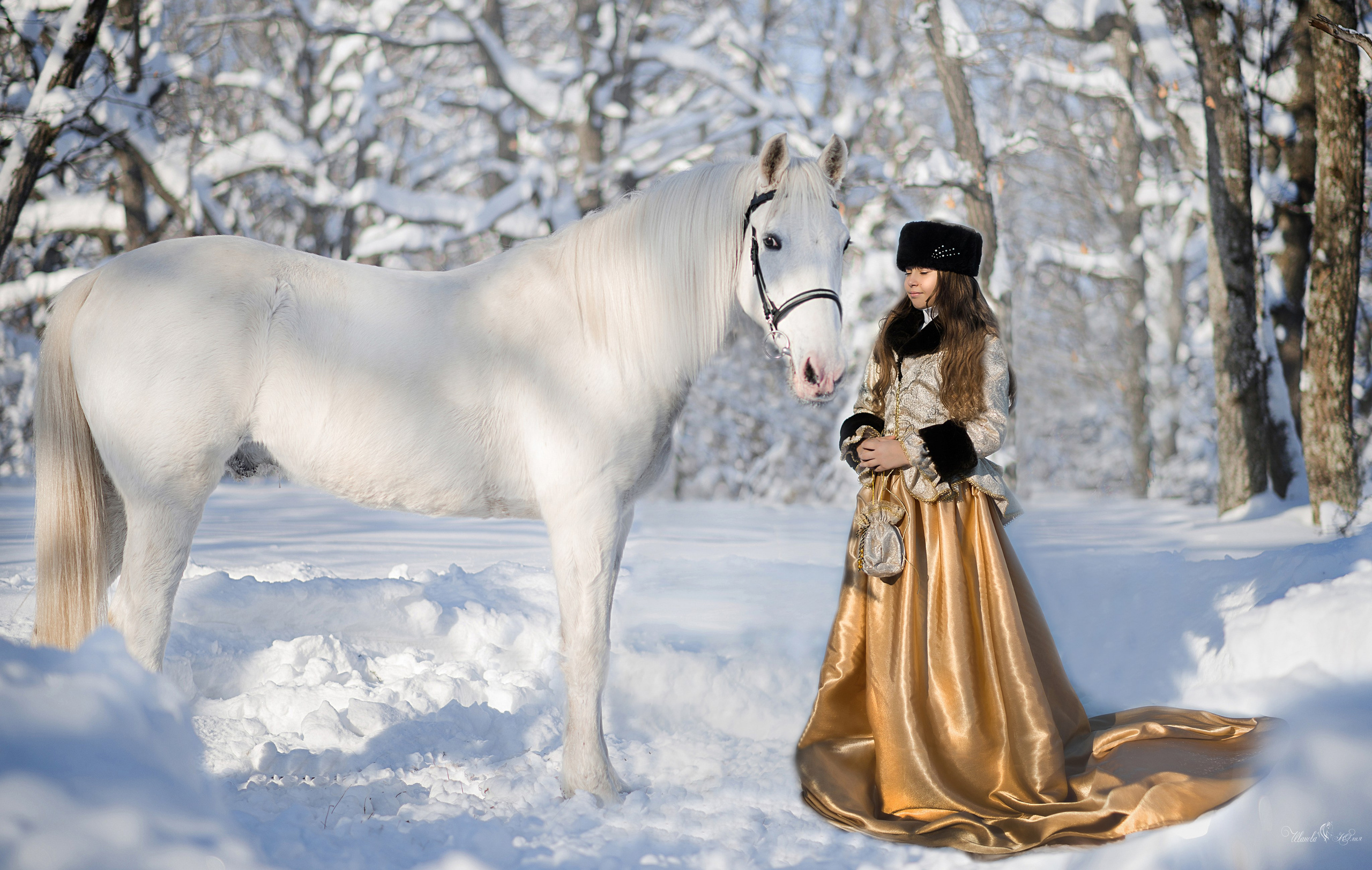 Фотодень с  Каспийцем. Конный фотограф в Саратове Юлия Иванова