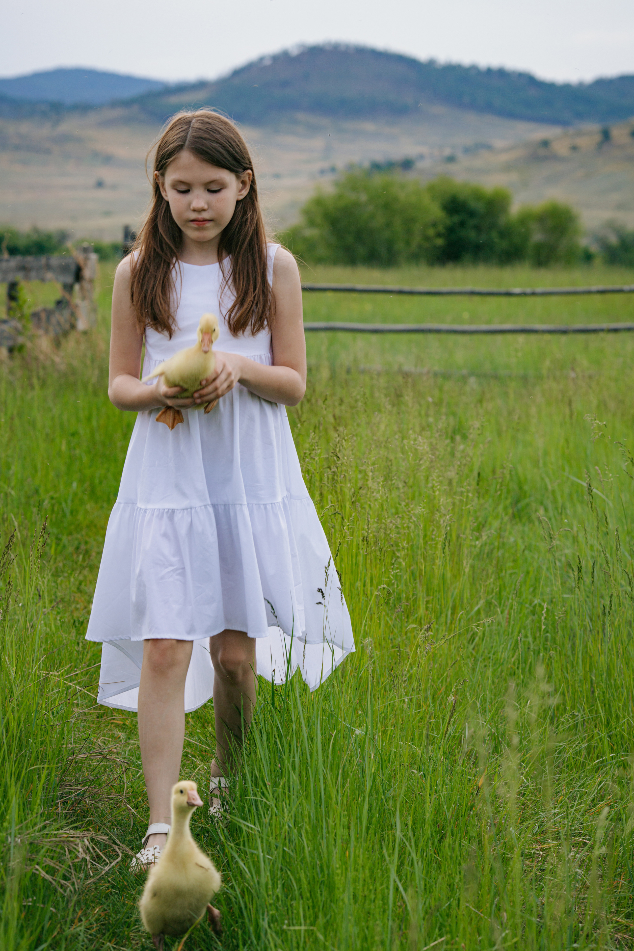 С животными. Главная