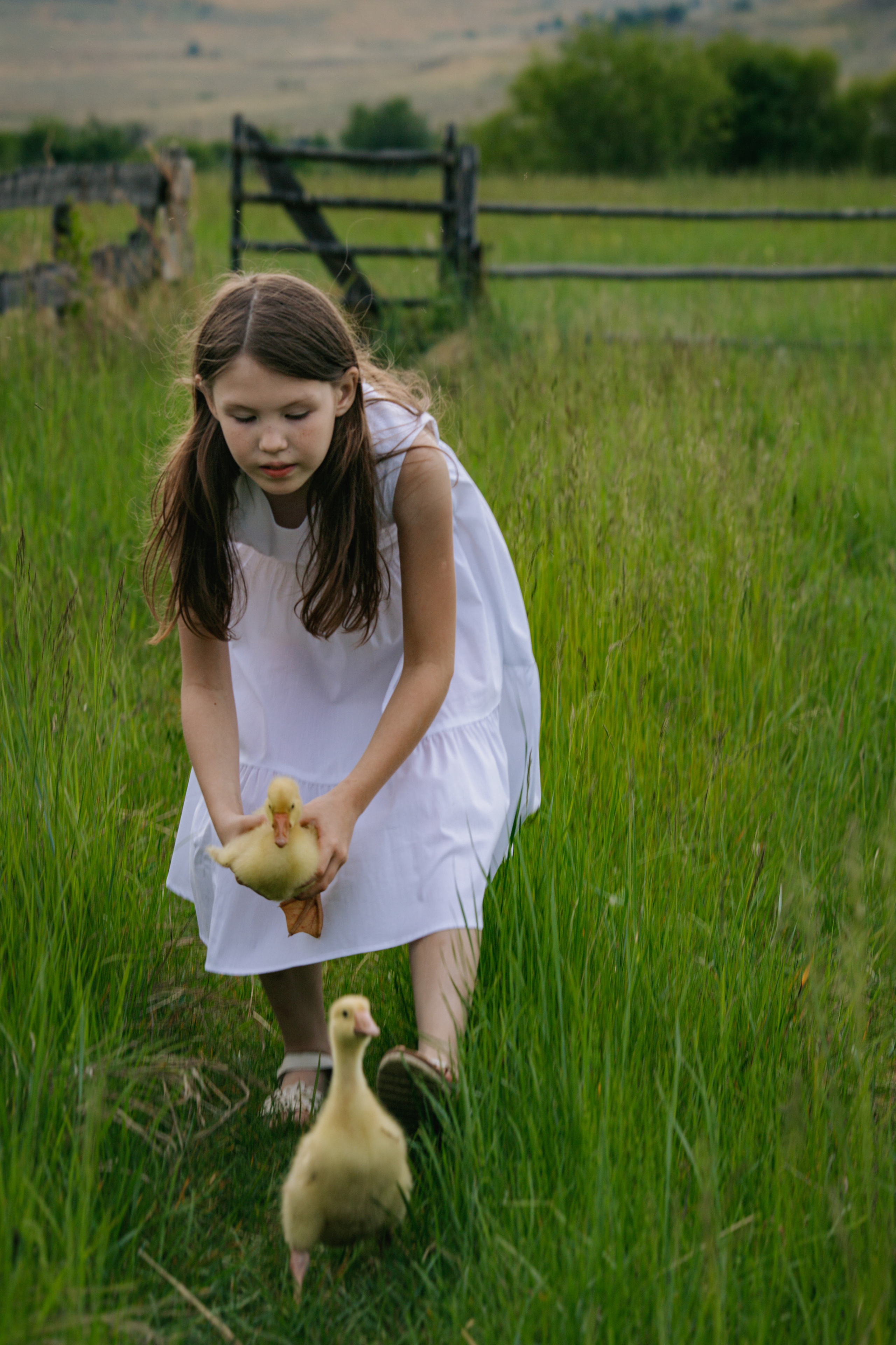 С животными. Главная