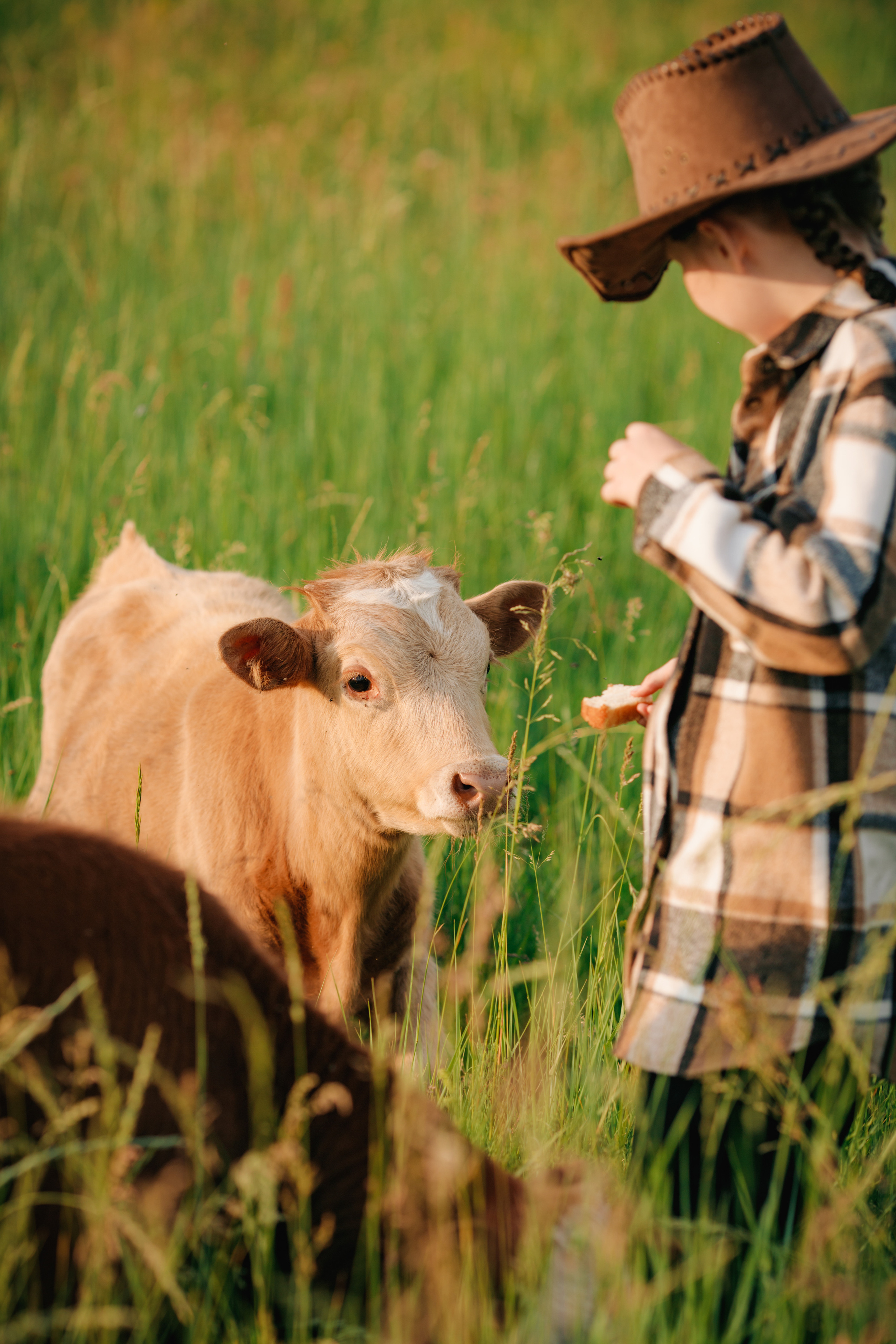 С животными. Главная
