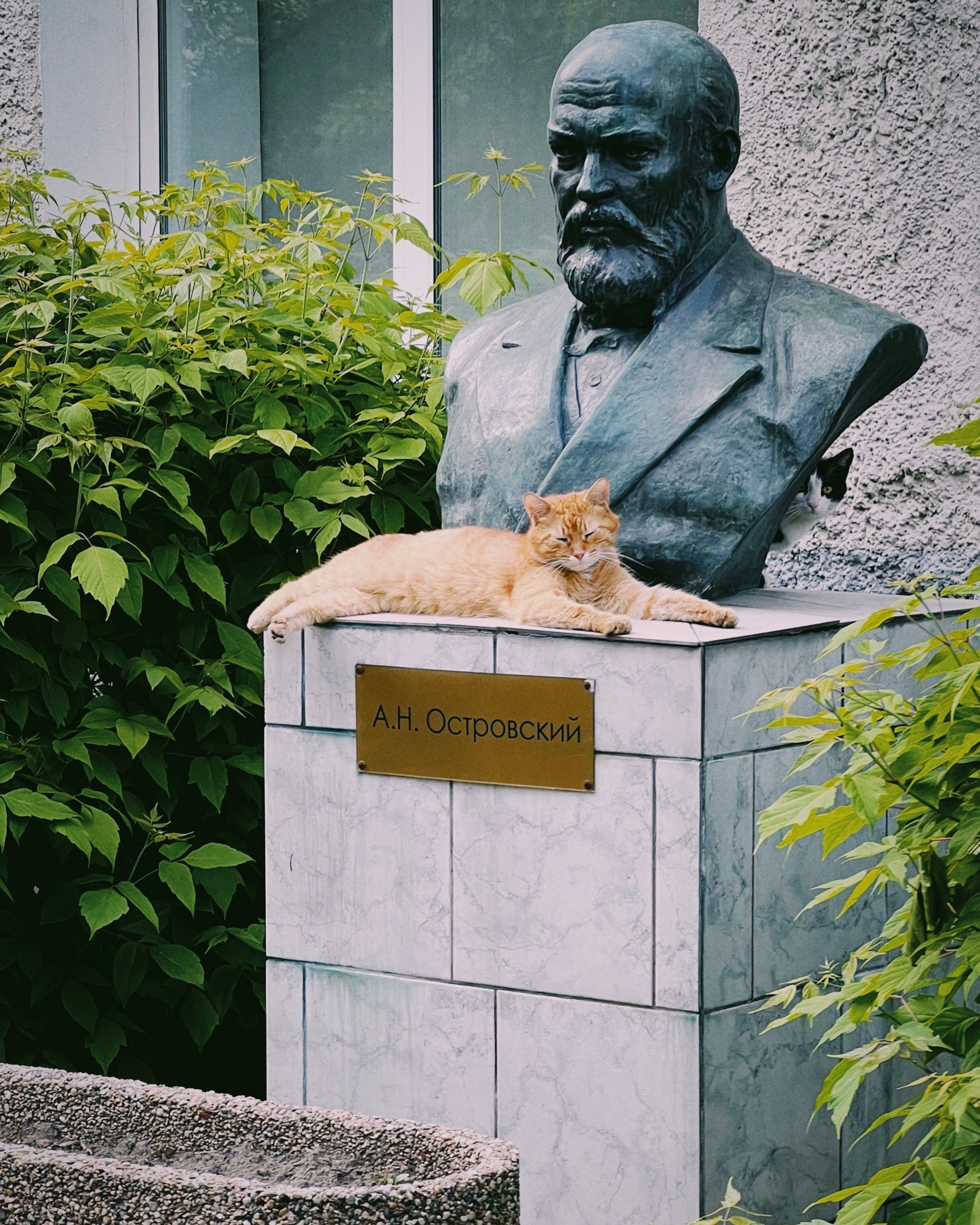 Лучшие фото, снятые на iPhone