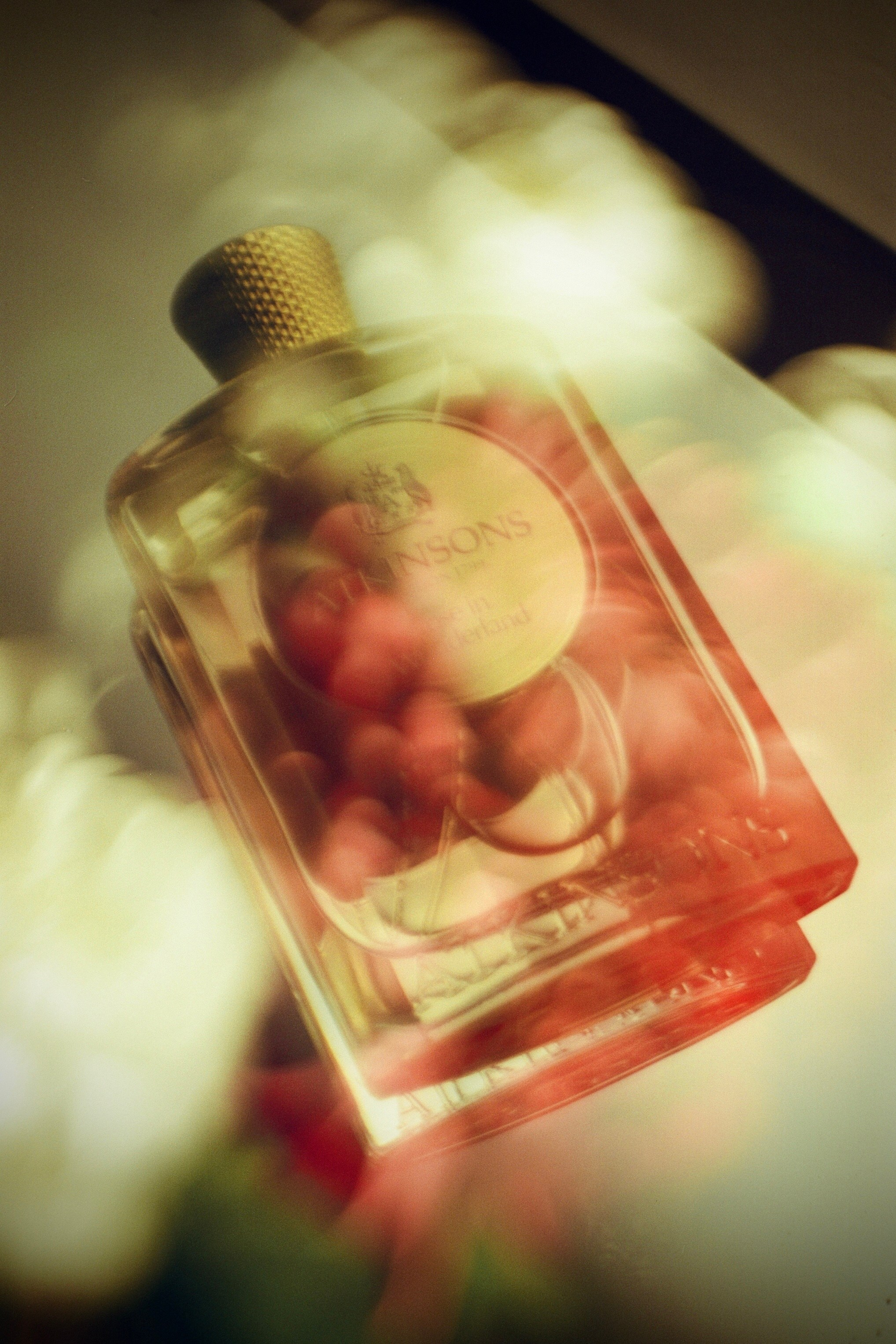 Автор: Анастасия Пиганова