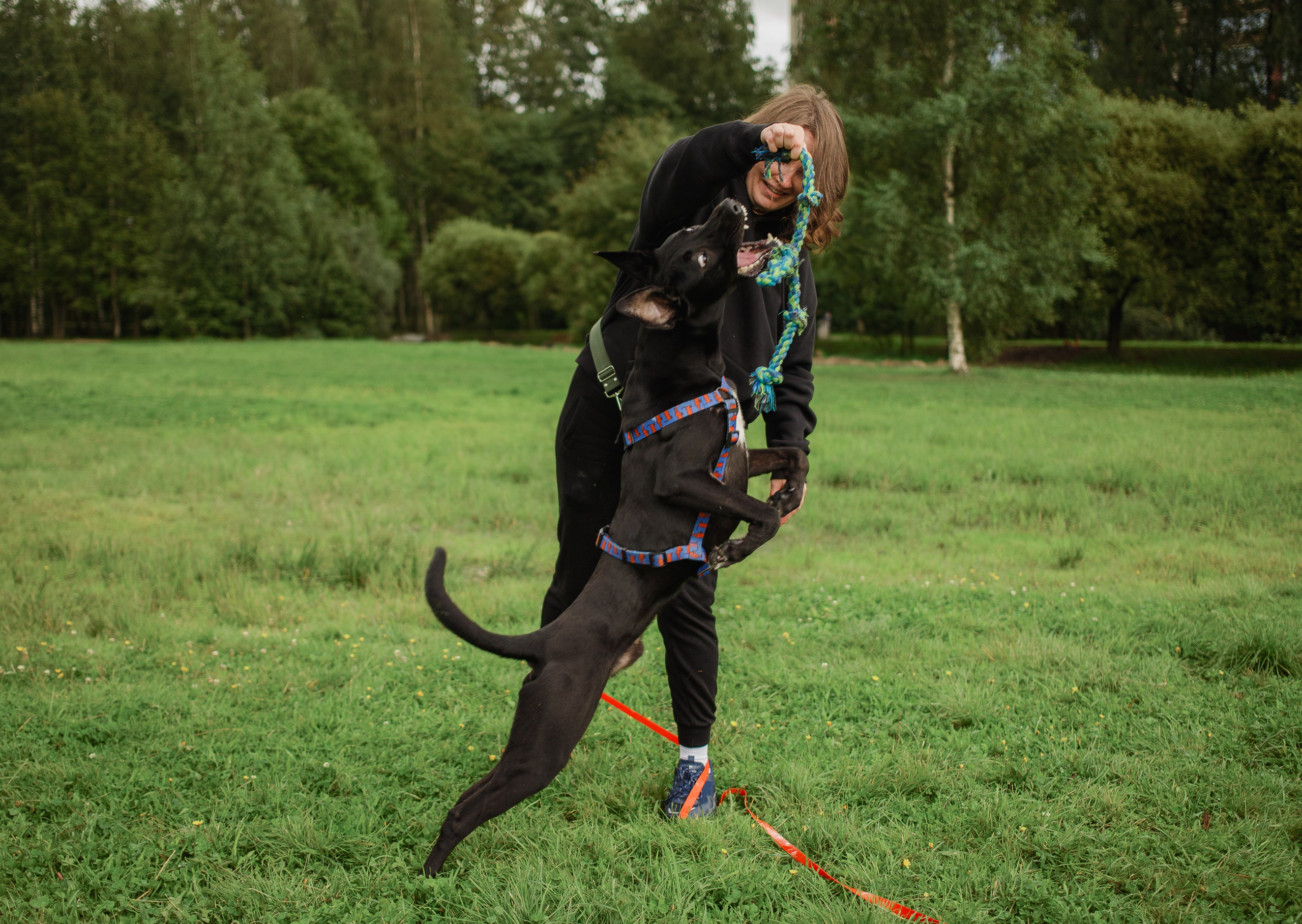 Отис ищет дом. Портретный фотограф в Санкт-Петербурге Катя Протасевич
