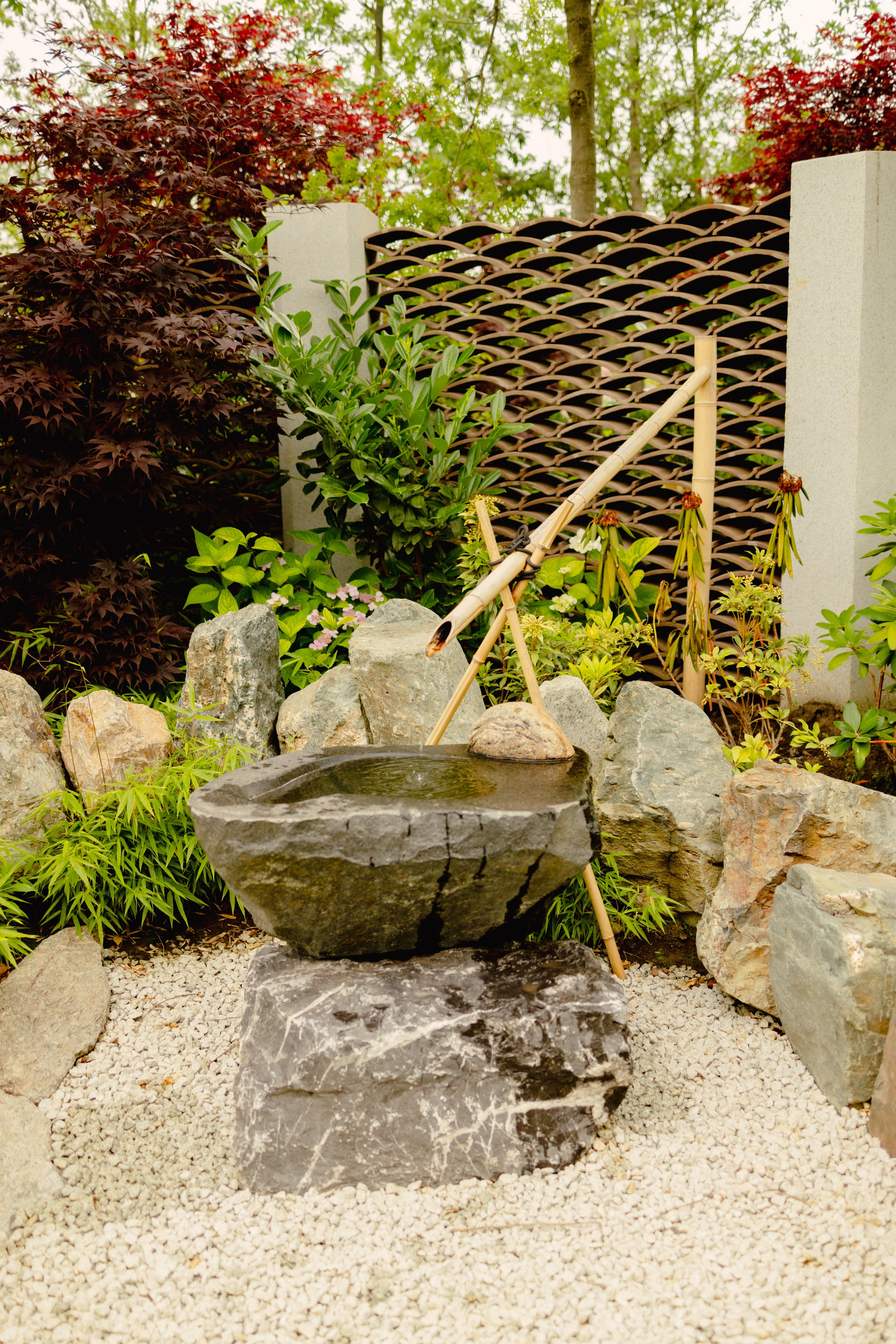 Японский сад в Краснодаре. Профессиональный фотограф и видеооператор