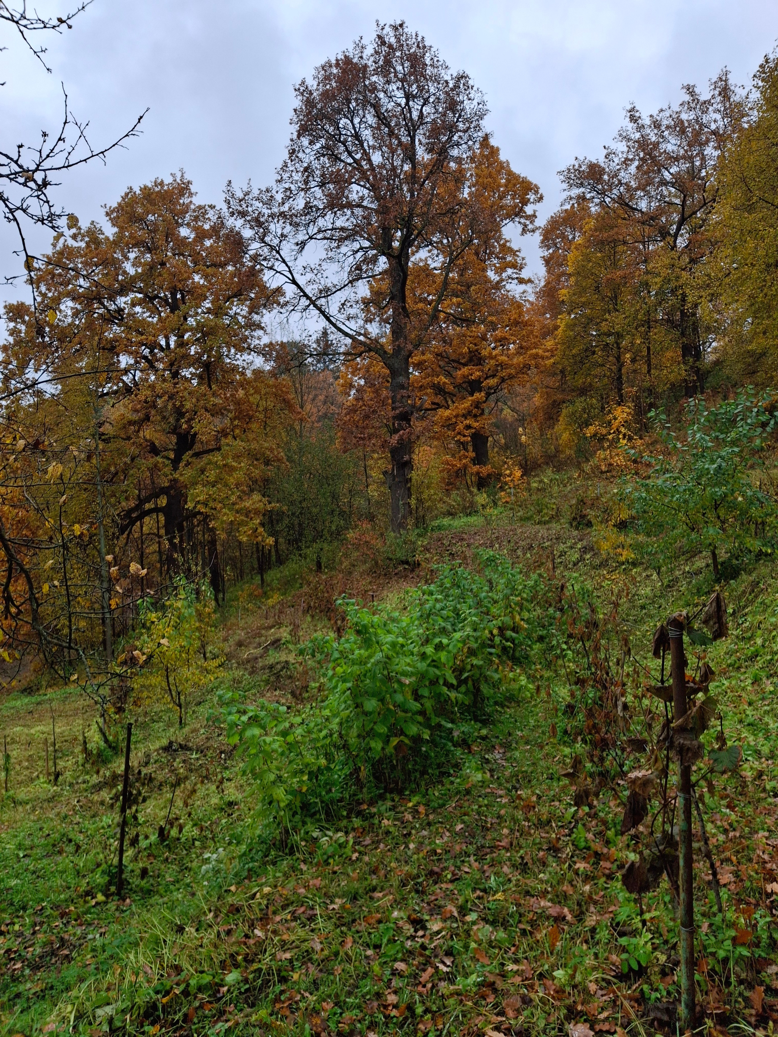 Последняя поездка. Игорь Жучков. Россия увиденная глазами путешествующего фотографа