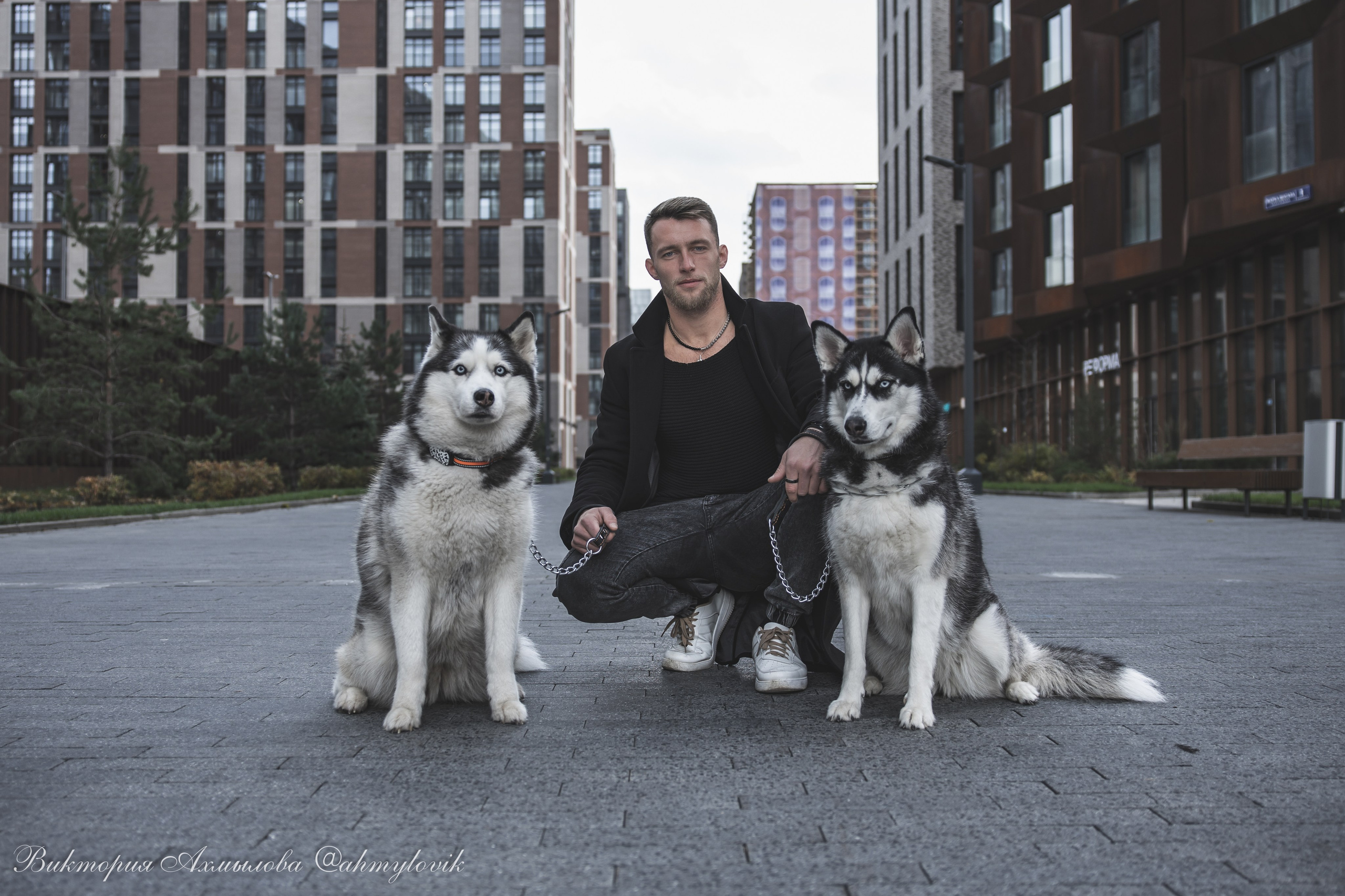 Прогулка с Хаски (Сергей). Виктория Ахмылова. Фотограф в Москве