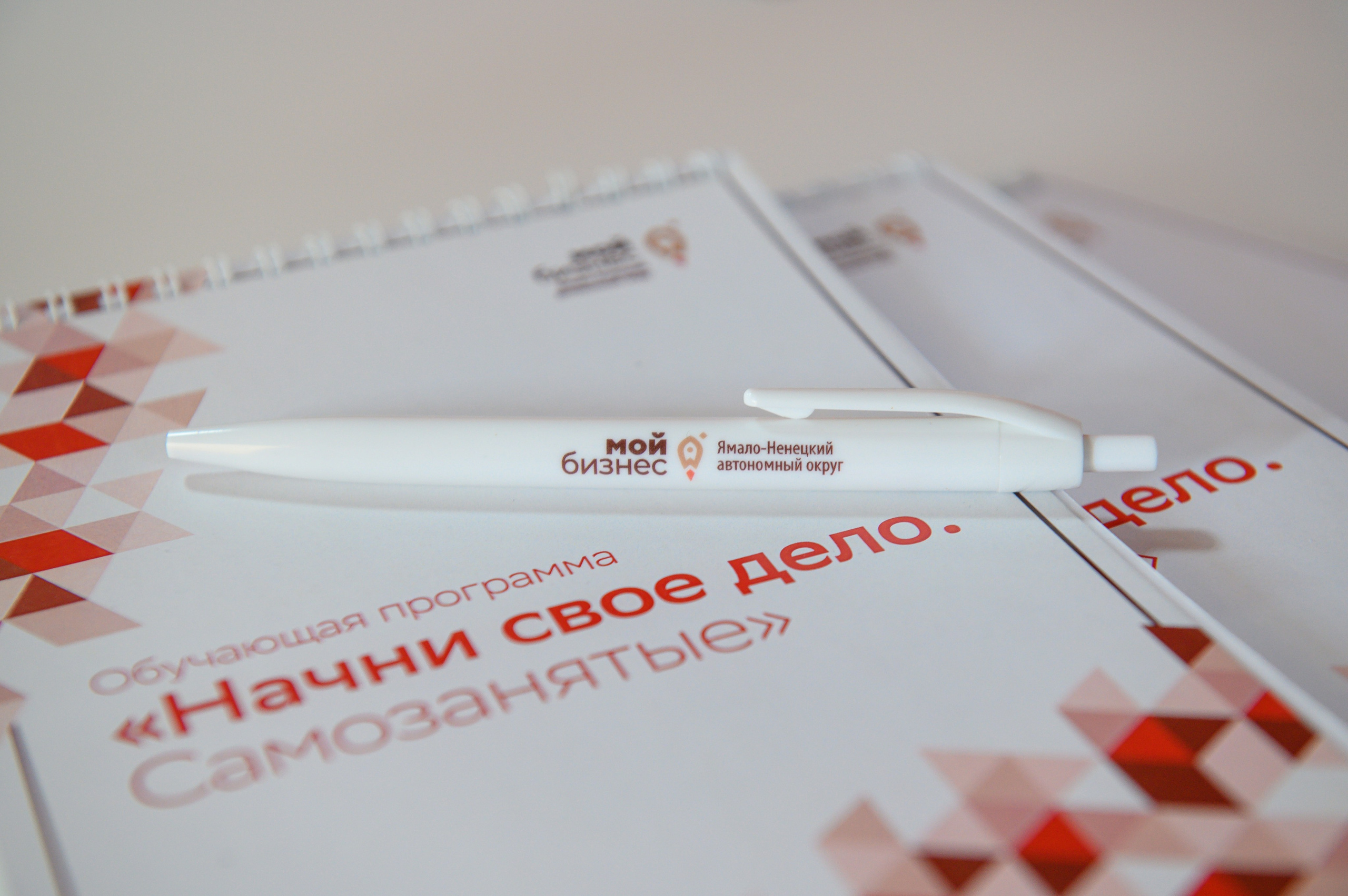 Фотографии Рустама Багизова бизнес семинара