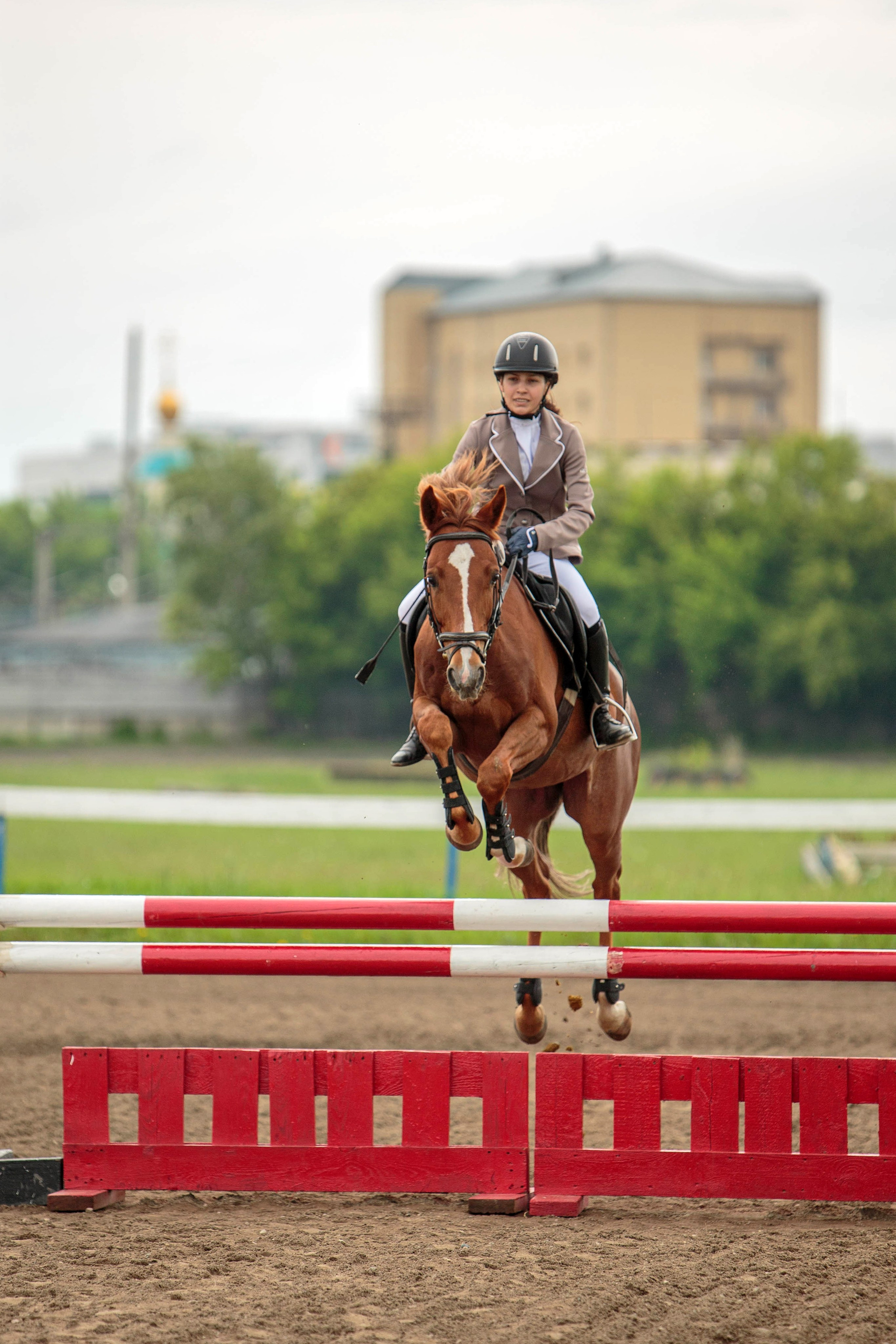 2024. Конный фотограф в Красноярске — Любовь Похабова