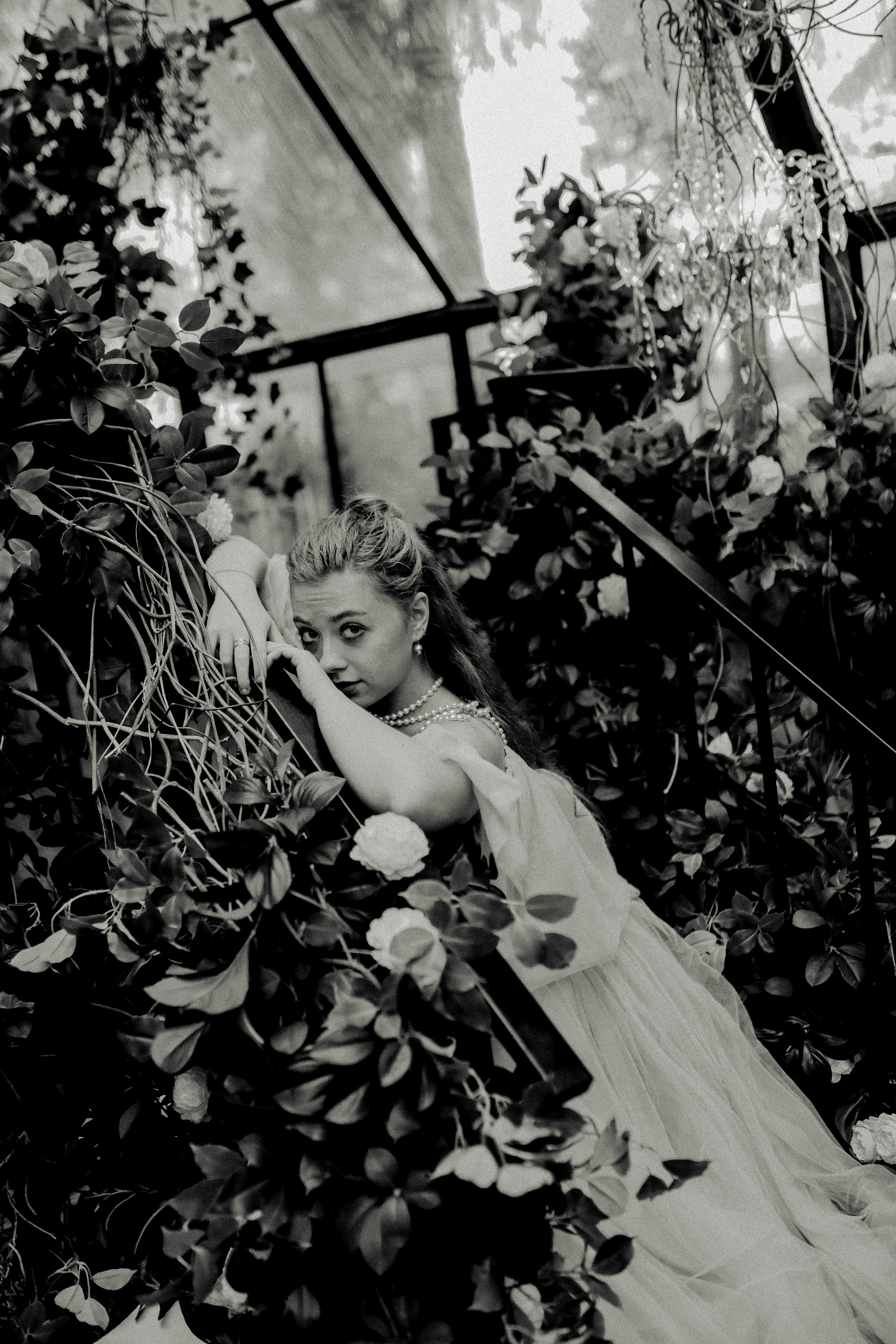 Зачарованный лес