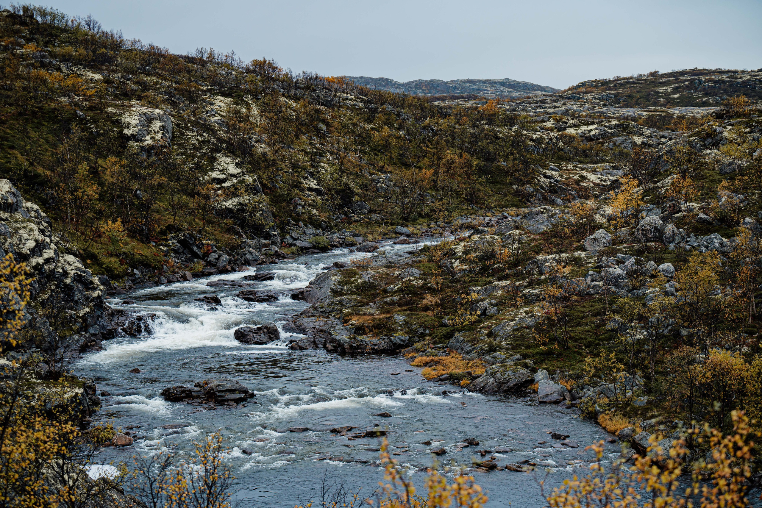 СЕВЕР. Event фотограф Степанова Александра