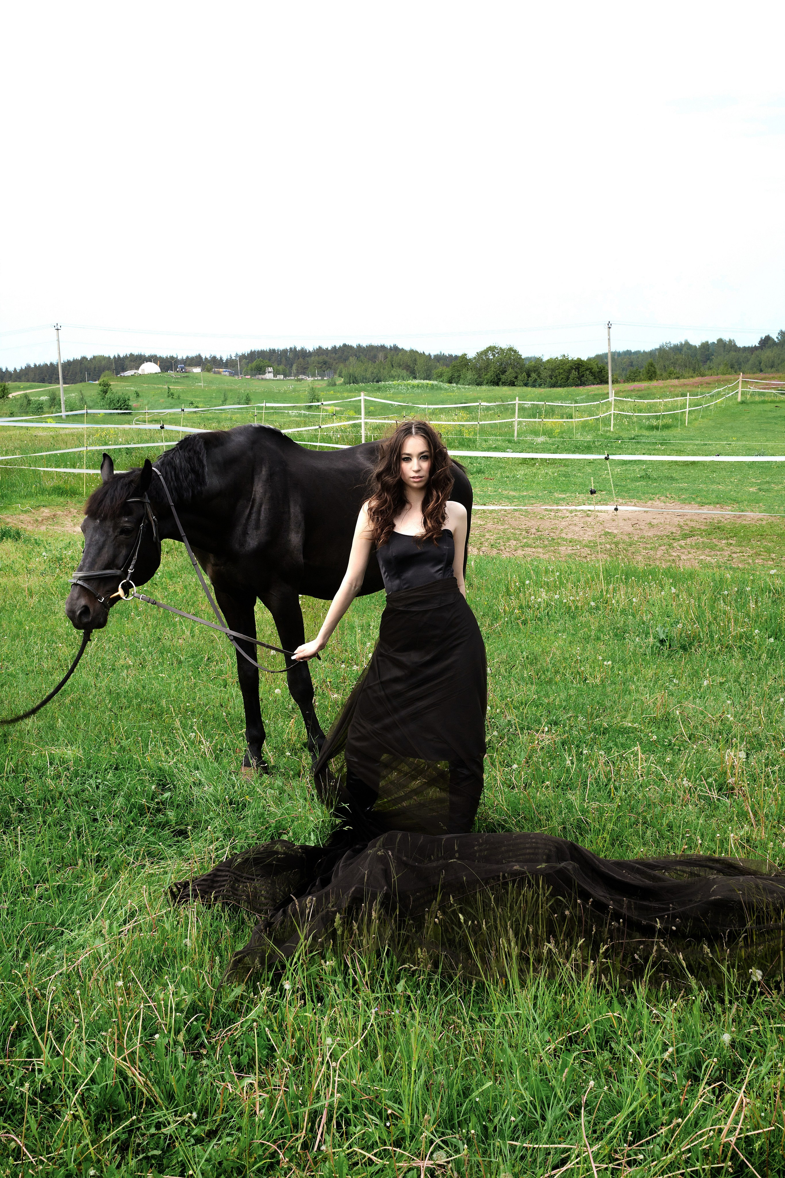 The black horse. Фотограф Надежда Куксина