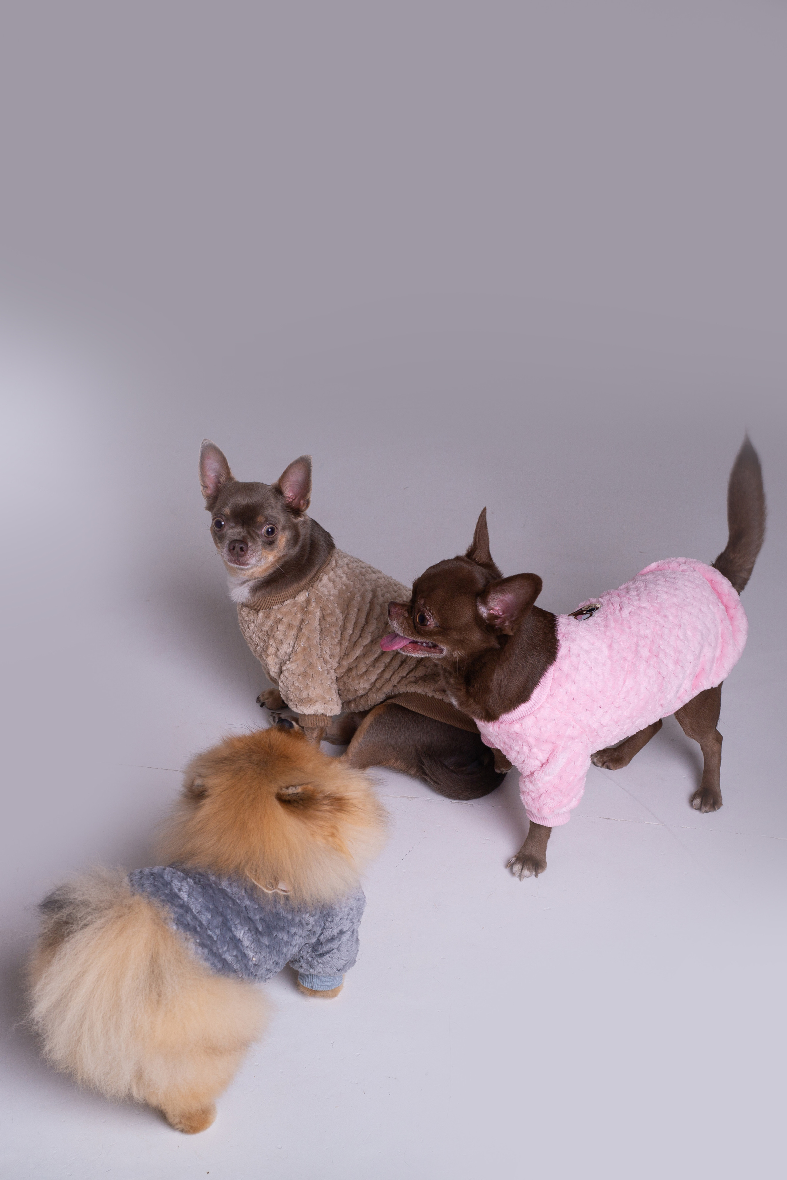 Отзывы. Свадебный, семейный фотограф в Дзержинске, Нижнем Новгороде Наталья Хр