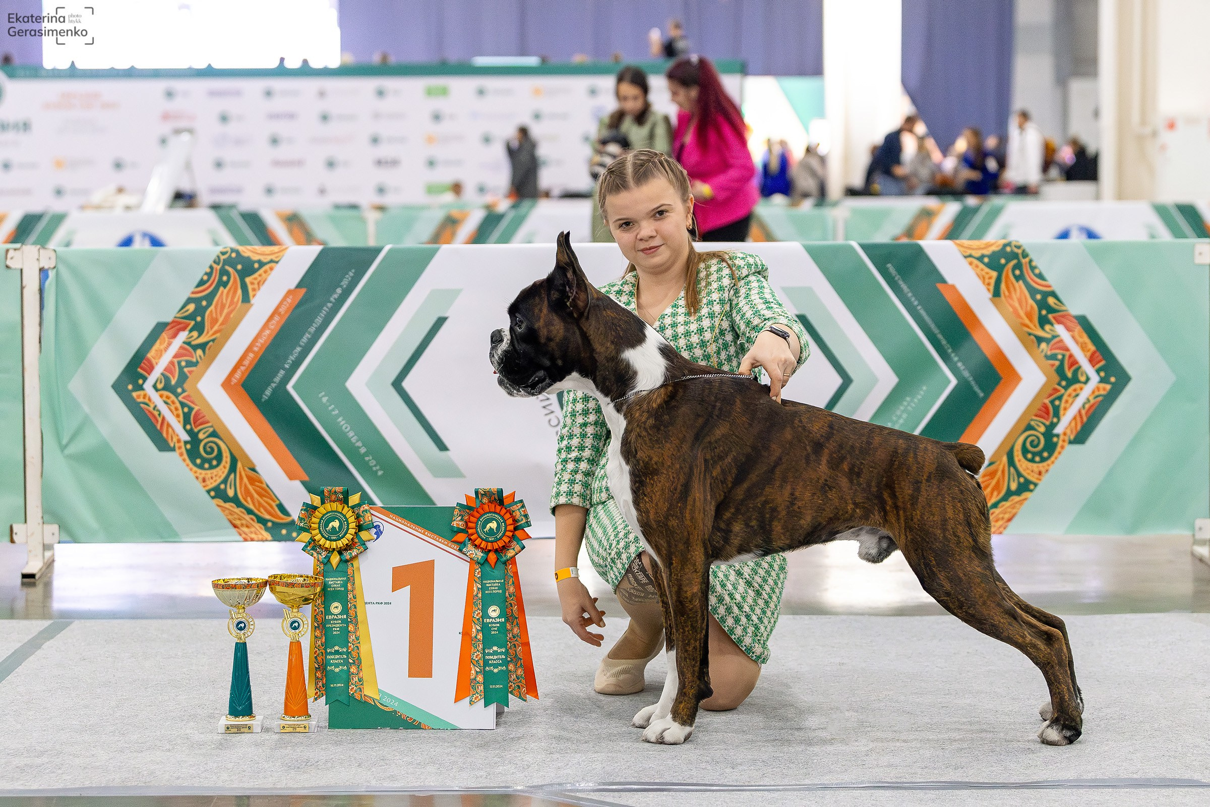16–17 ноября 2024, Выставка ЕВРАЗИЯ, г. Москва. Htykk_photo