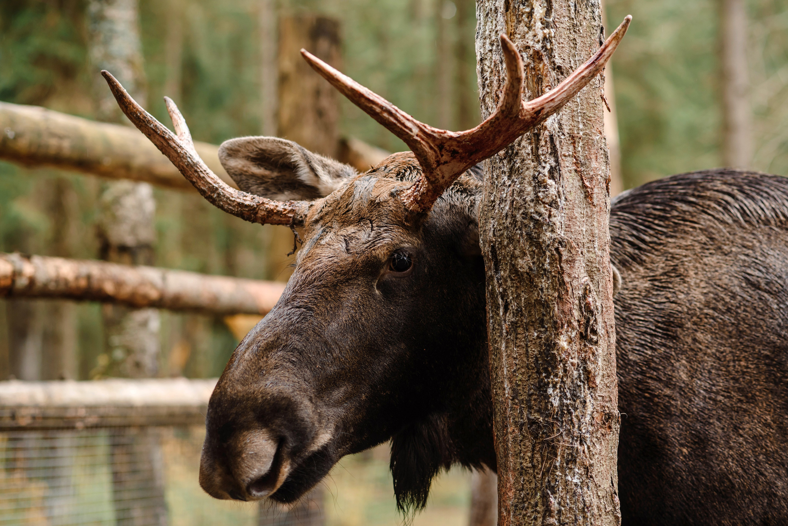 Имидж-тур ВодоходЪ. Репортажный фотограф Минина Ирина